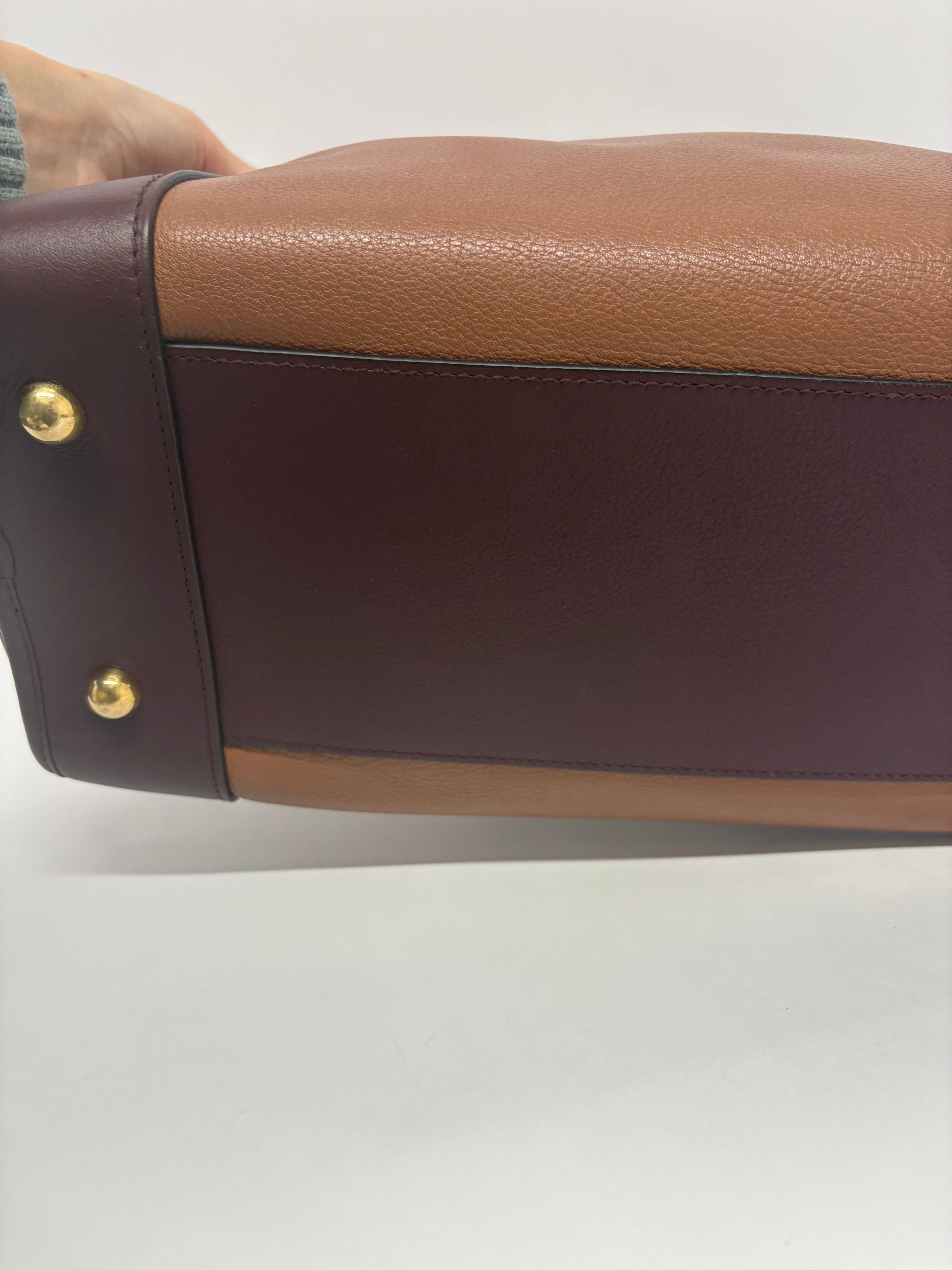 Loewe Amazona 35  Tricolor Marrón, Burdeos y Beige