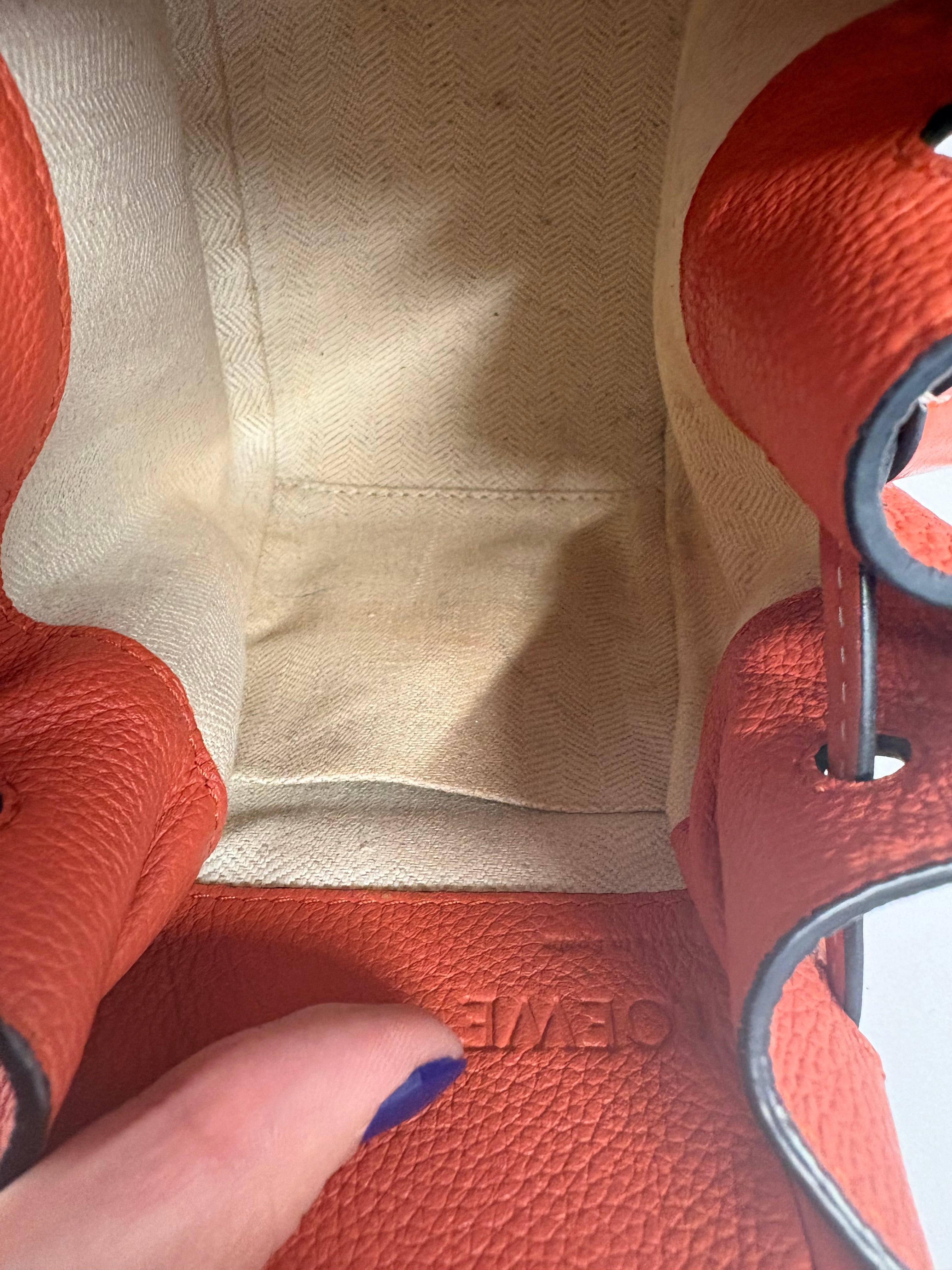 Loewe mini hammock coral