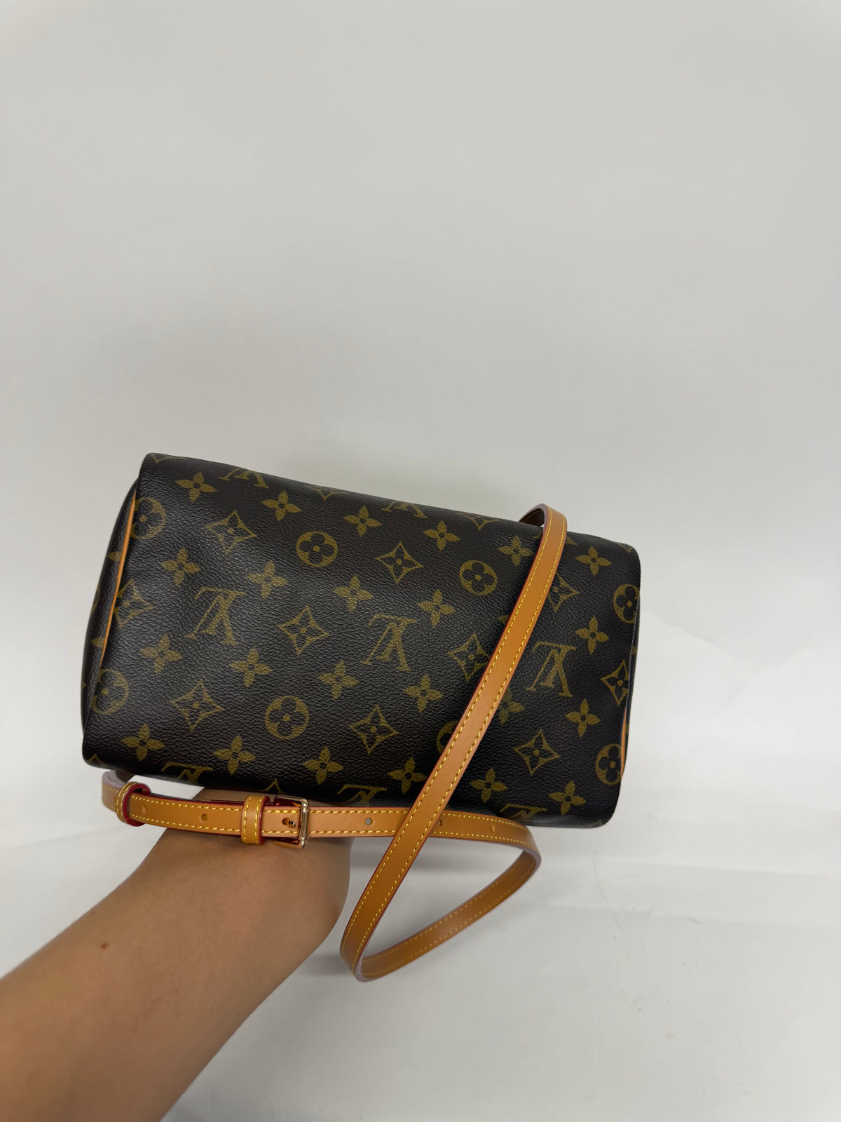 Louis Vuitton Speedy 25 Monogram