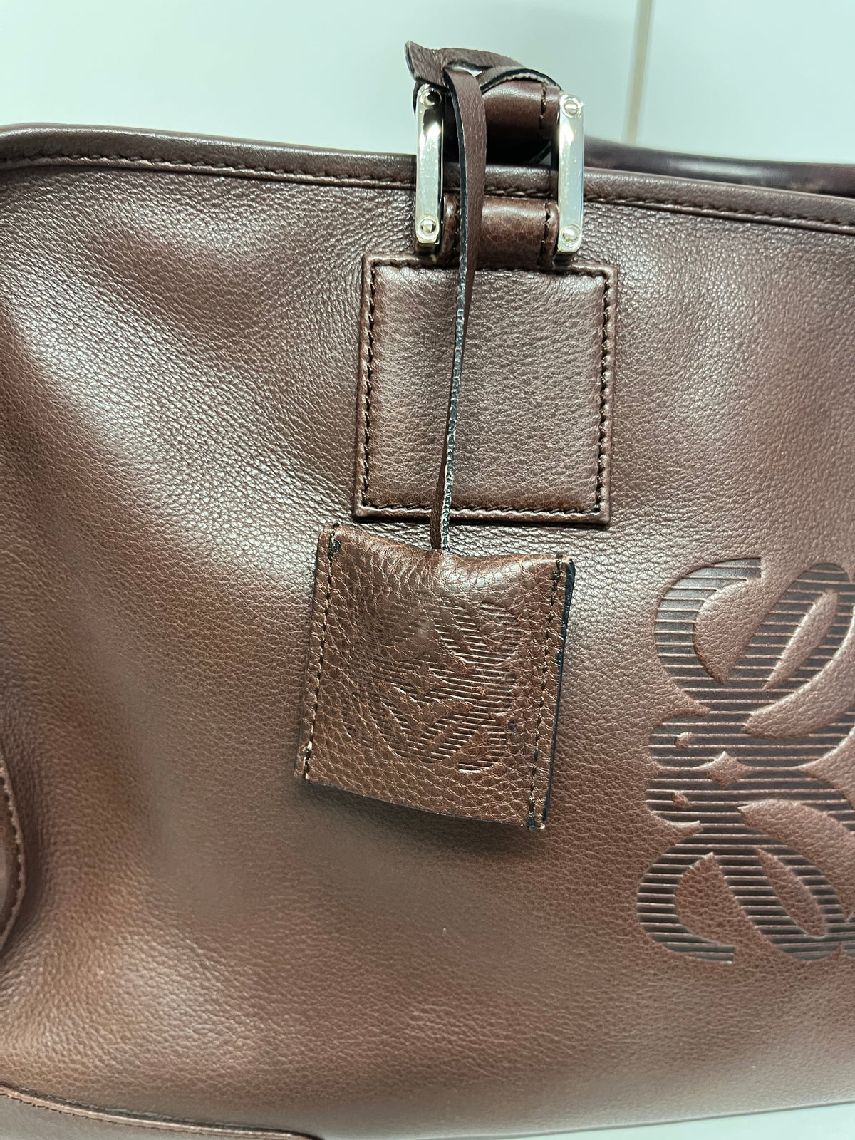 Loewe Amazona 36 Piel Marrón y herajes plata