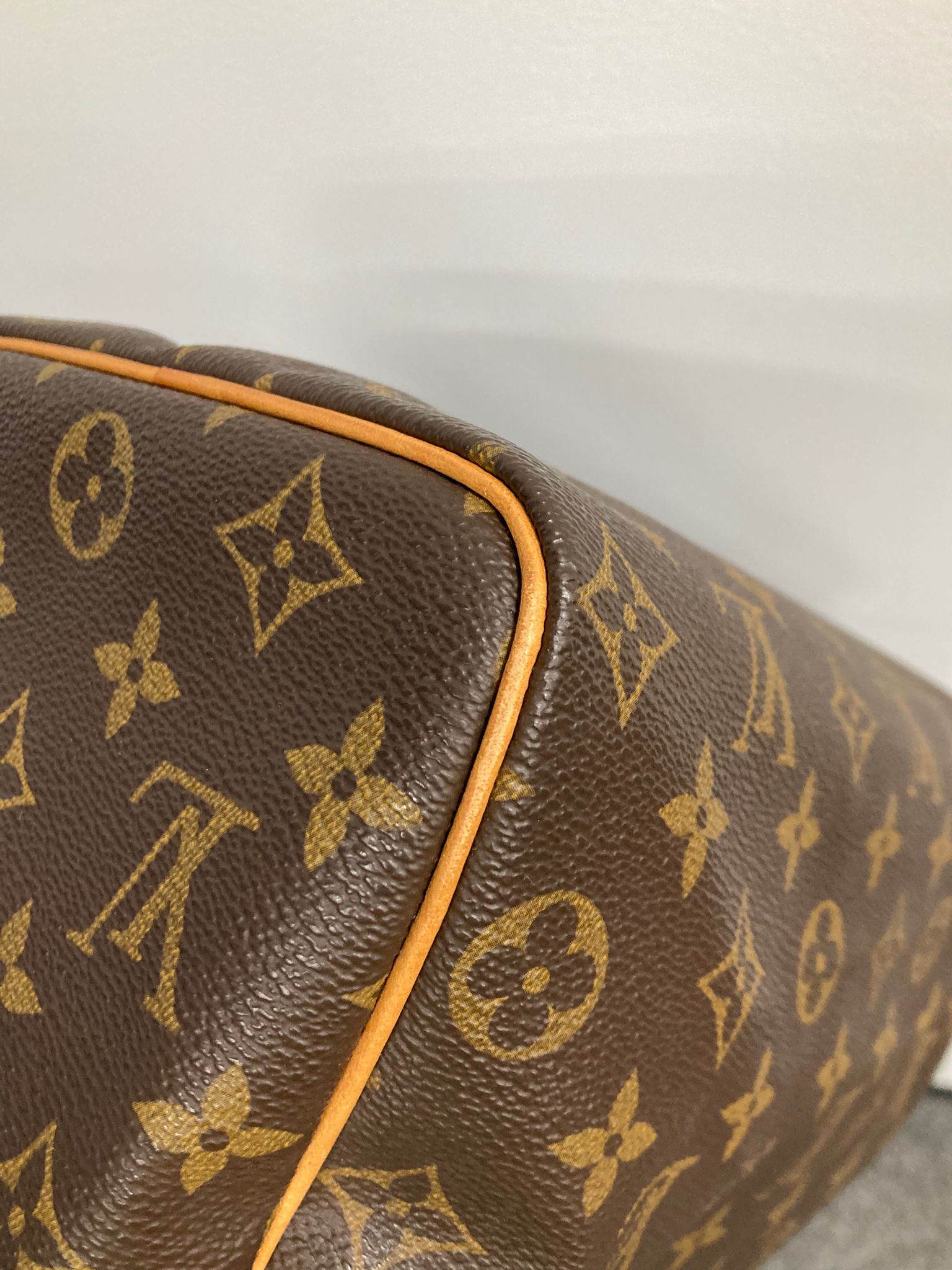 Louis Vuitton speedy 25 canvas monogram