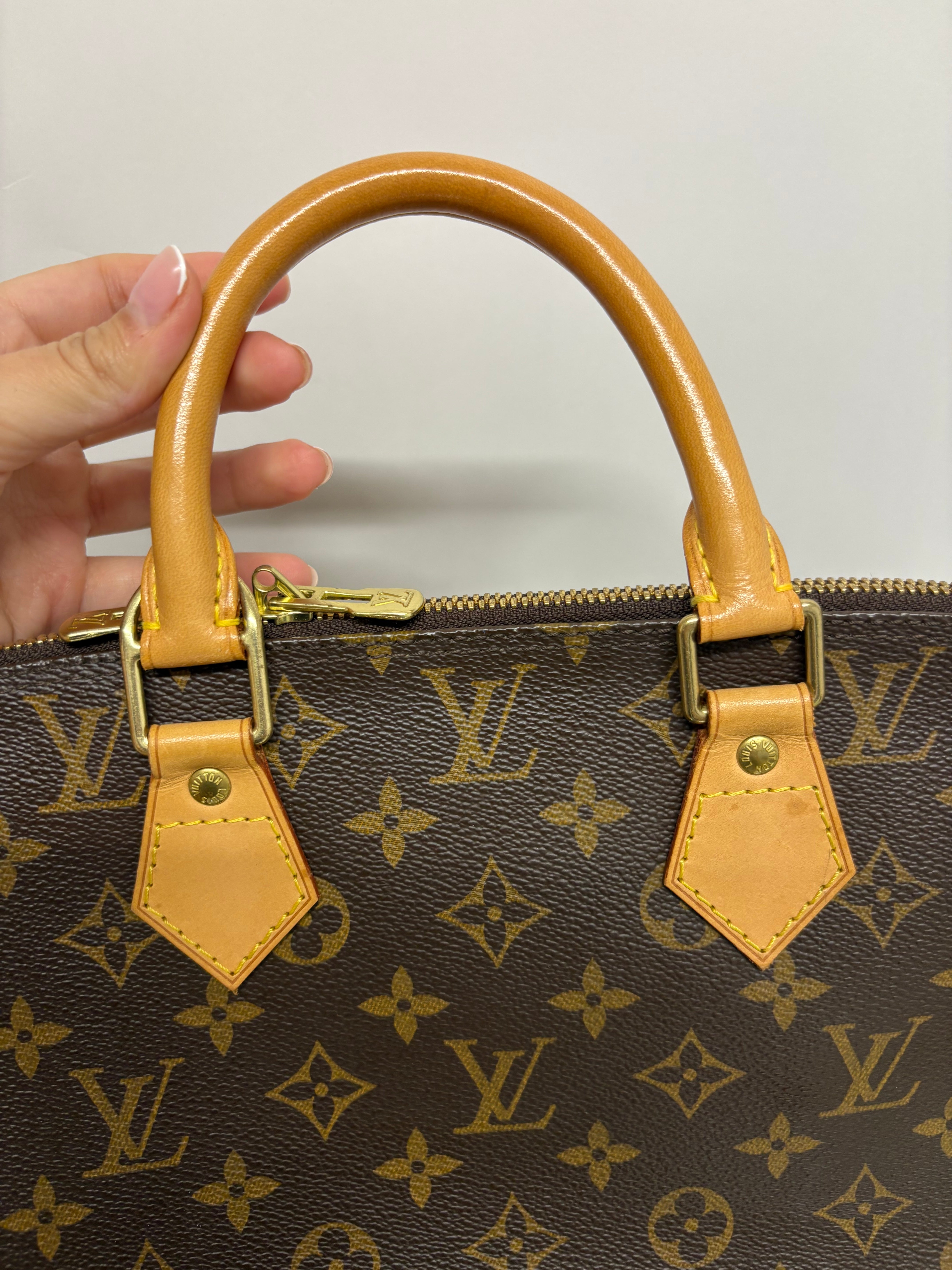 Louis Vuitton Alma MM canvas monogram