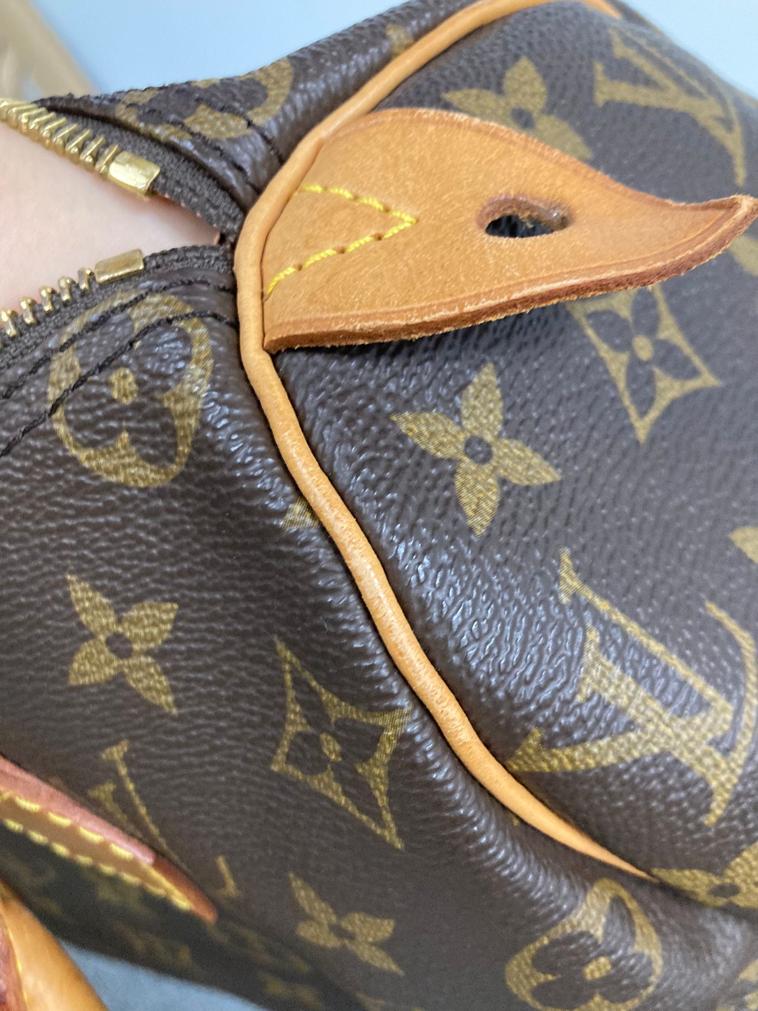 Louis Vuitton speedy 25 canvas monogram