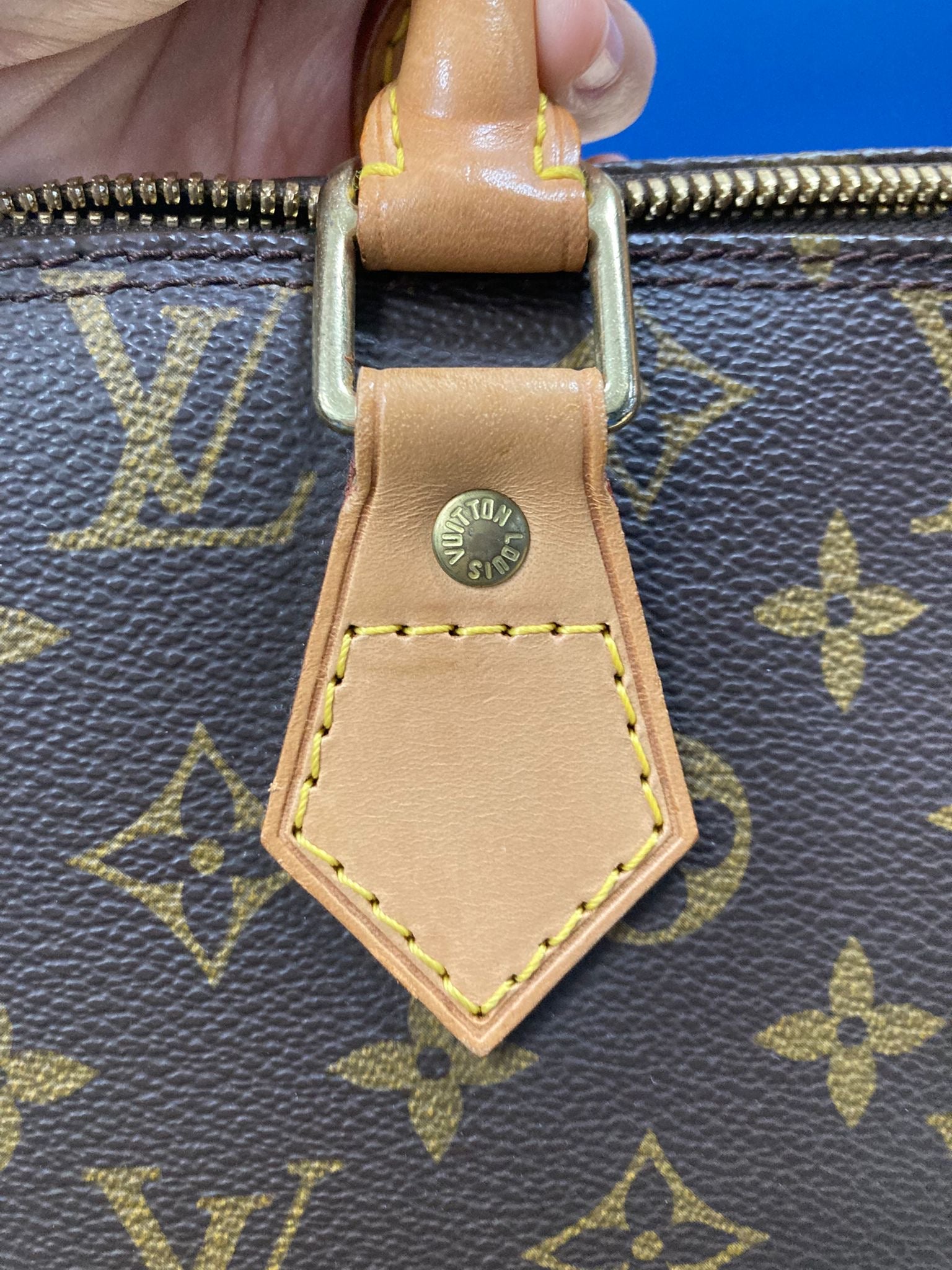 Louis Vuitton Alma MM monogram