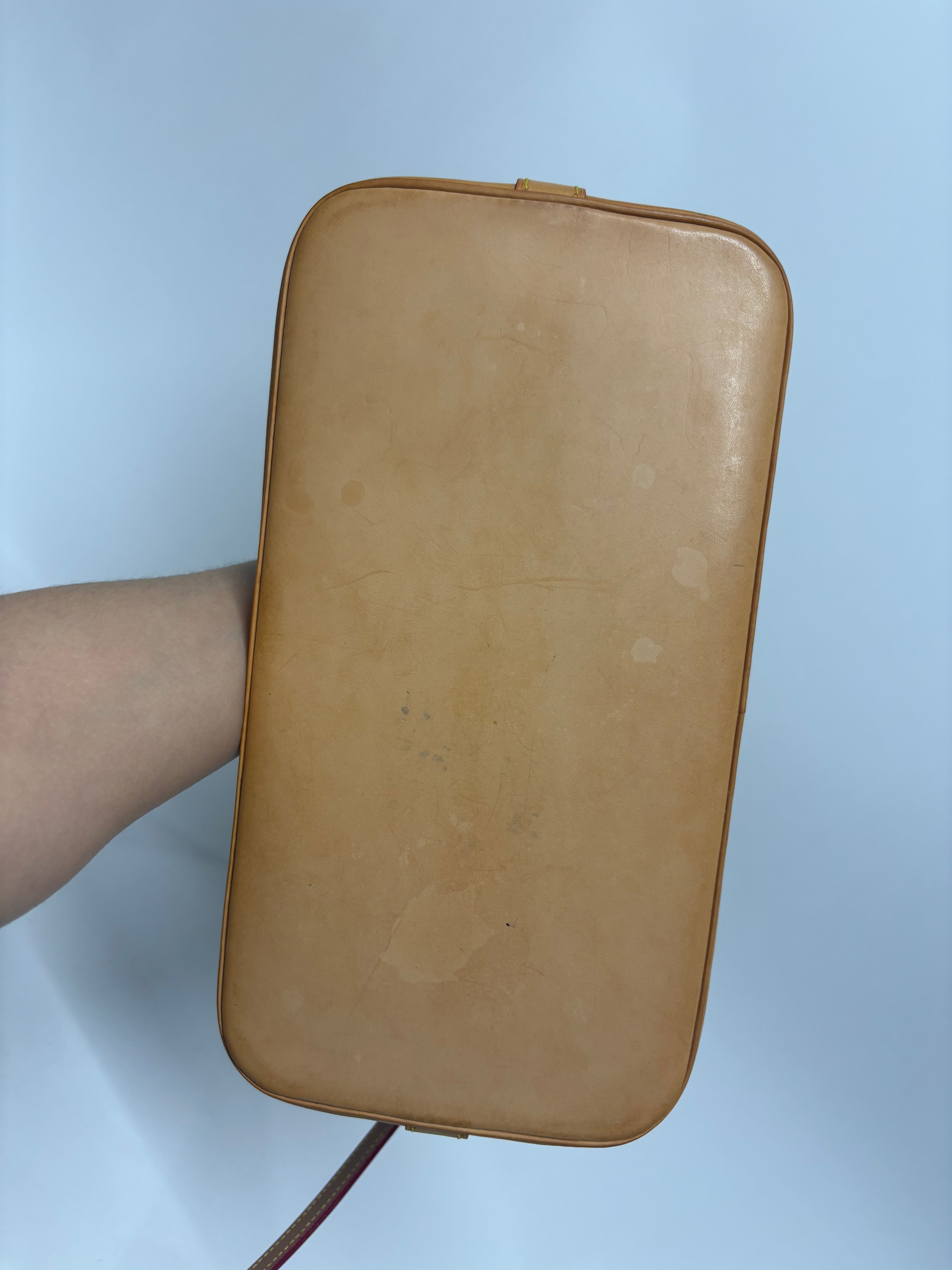 Louis Vuitton Alma PM Monogram