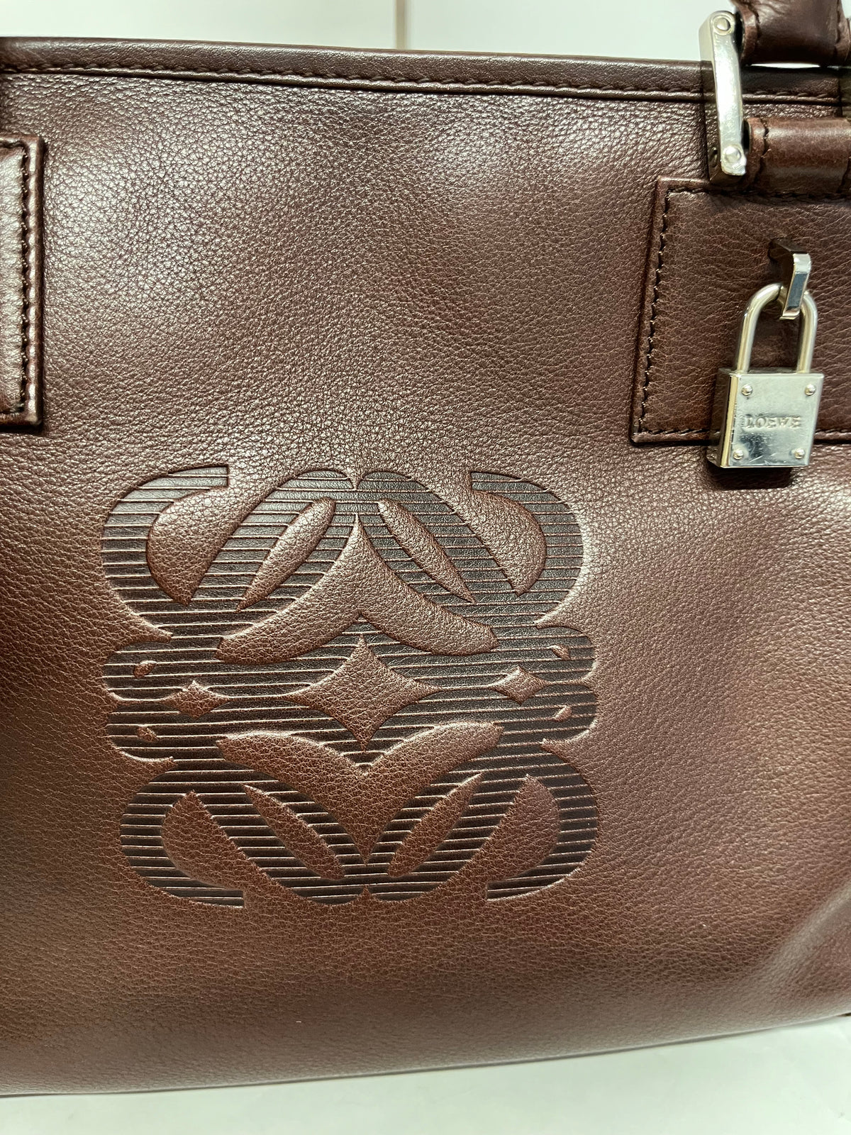 Loewe Amazona 36 Piel Marrón y herajes plata