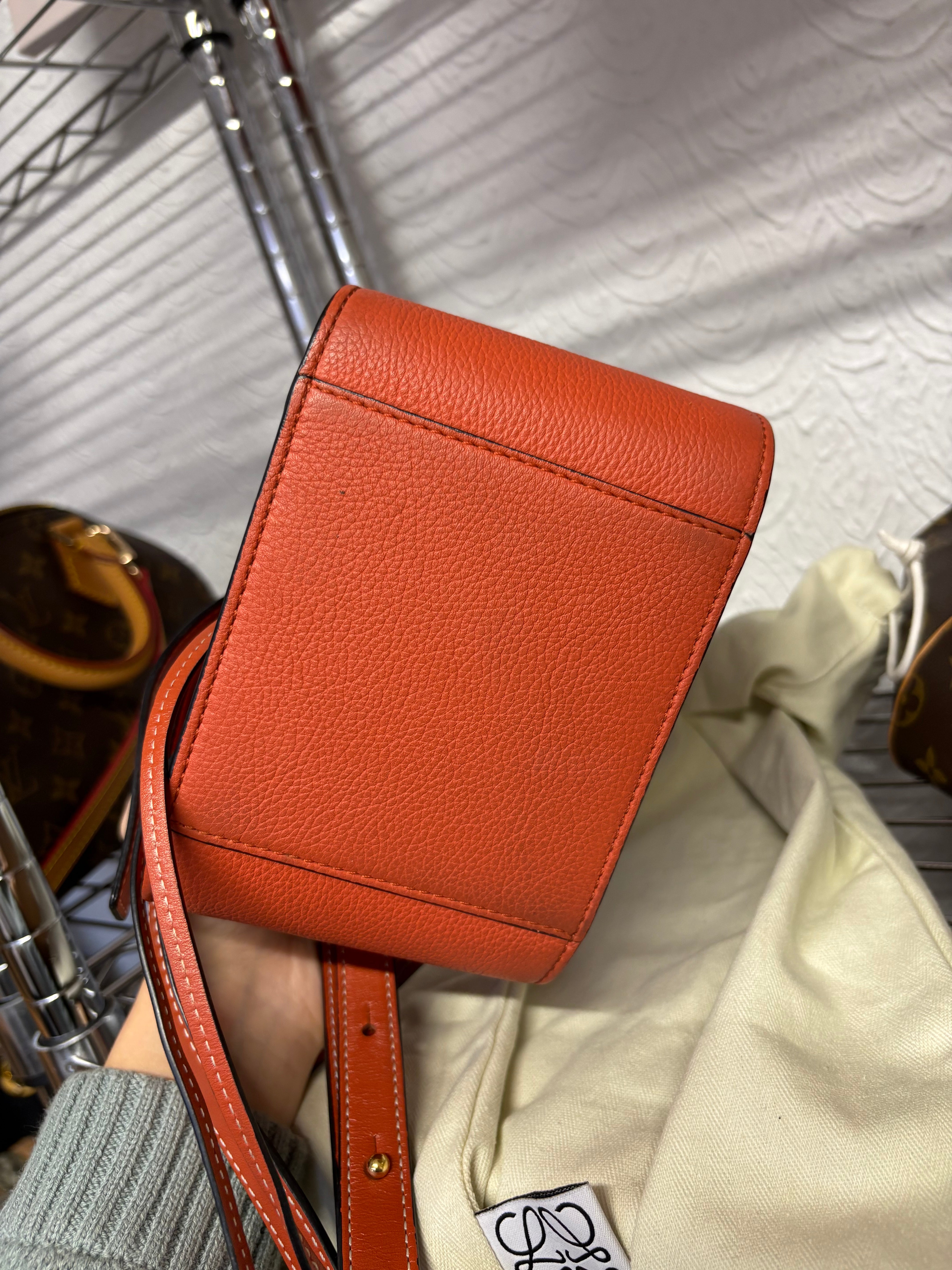 Loewe mini hammock coral