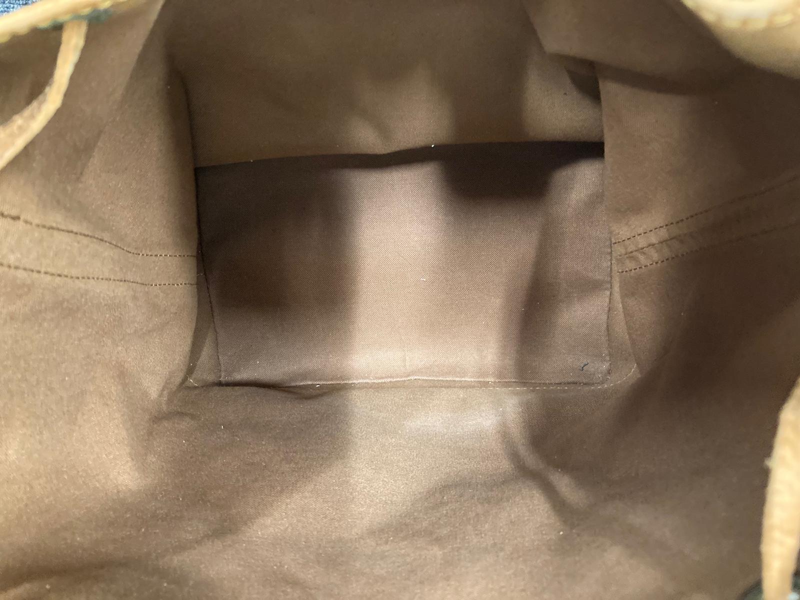 Louis Vuitton Noé Monogram