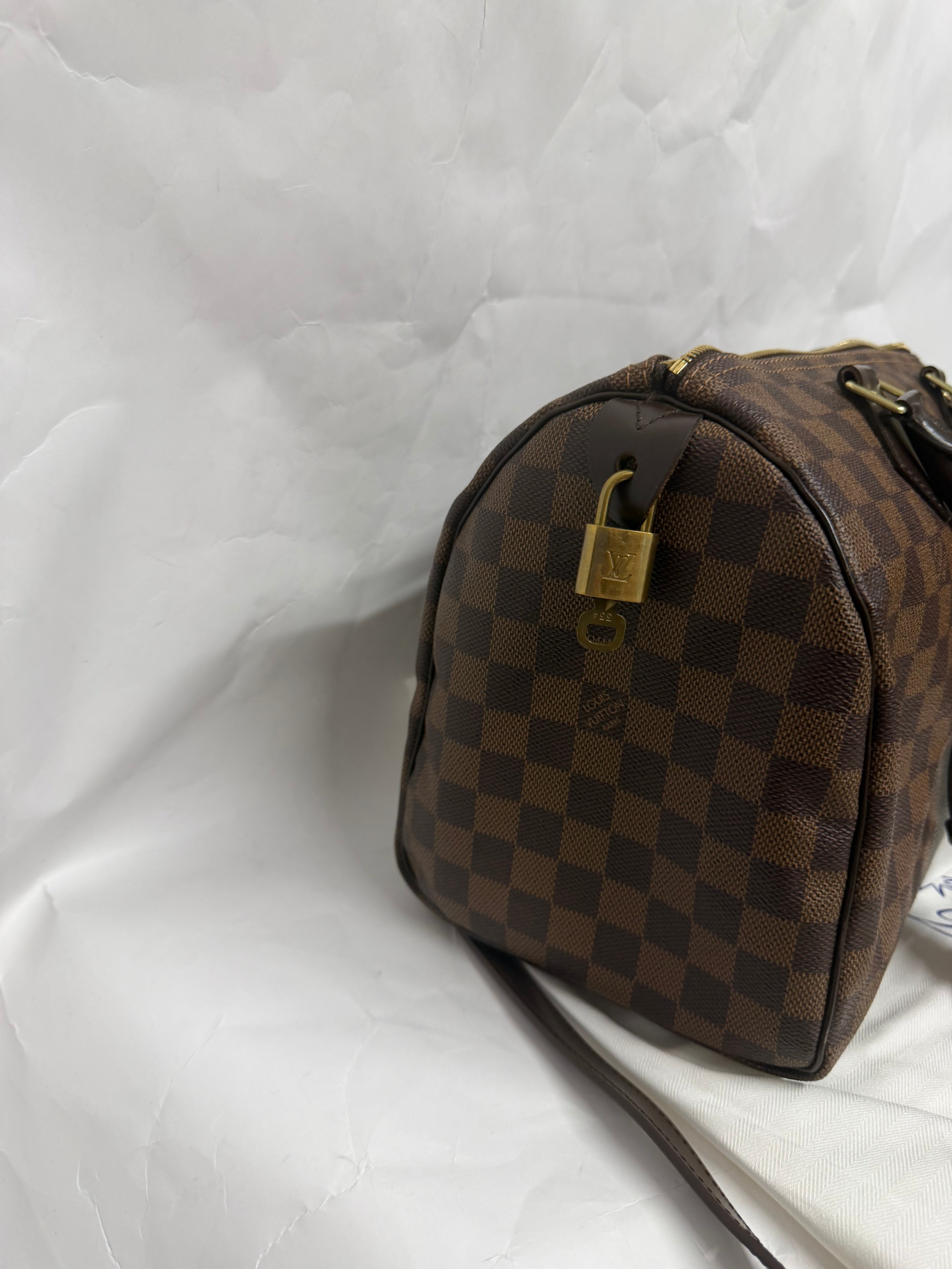 Louis Vuitton Speedy 30 Damier Ebene