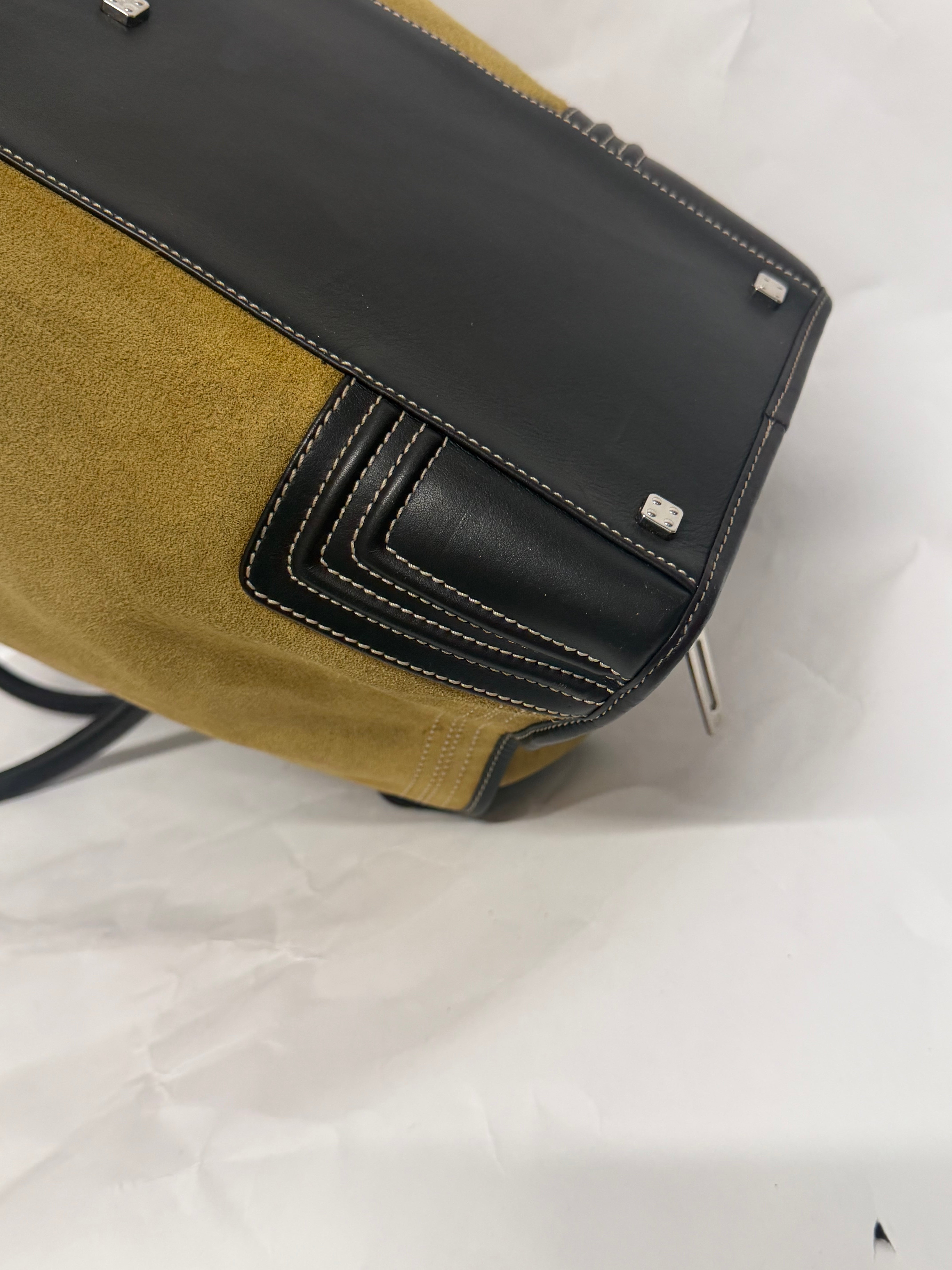 Loewe Amazona 44 | Ante Oro Anagrama Grande