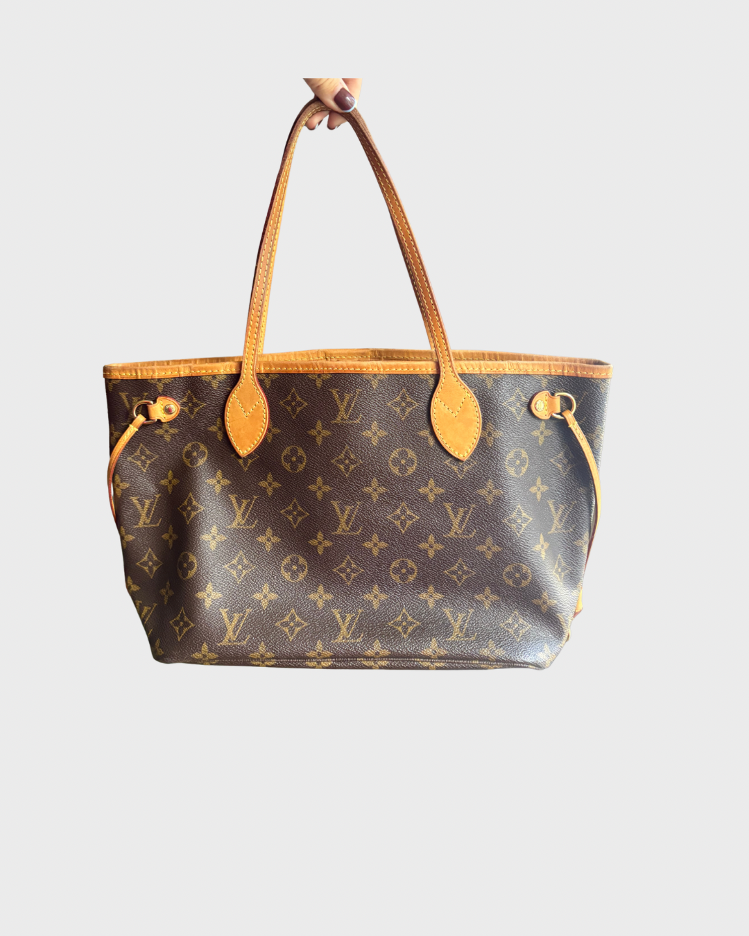 Louis Vuitton Neverfull PM Monogram