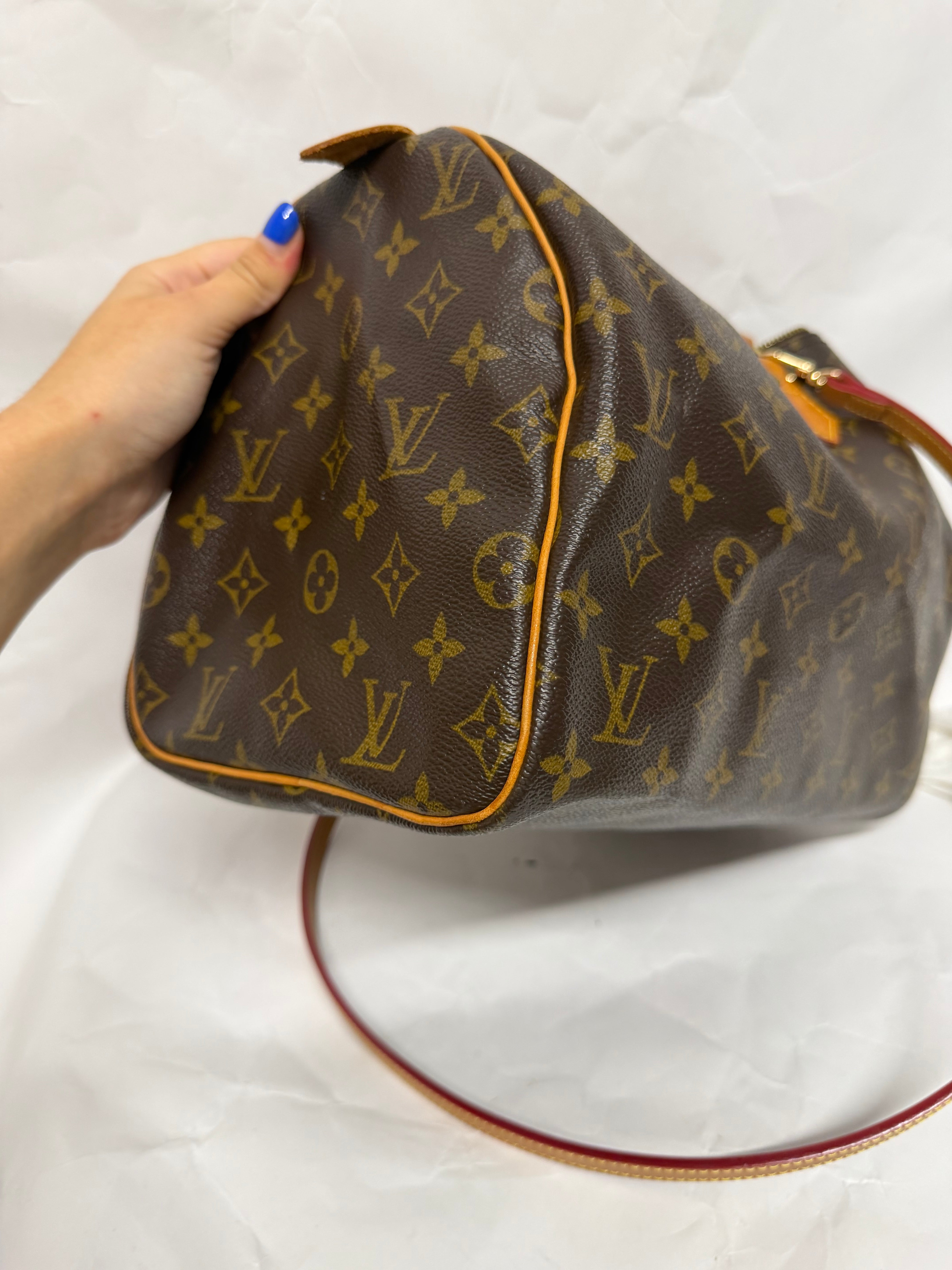 Louis Vuitton Speedy 30 Monogram