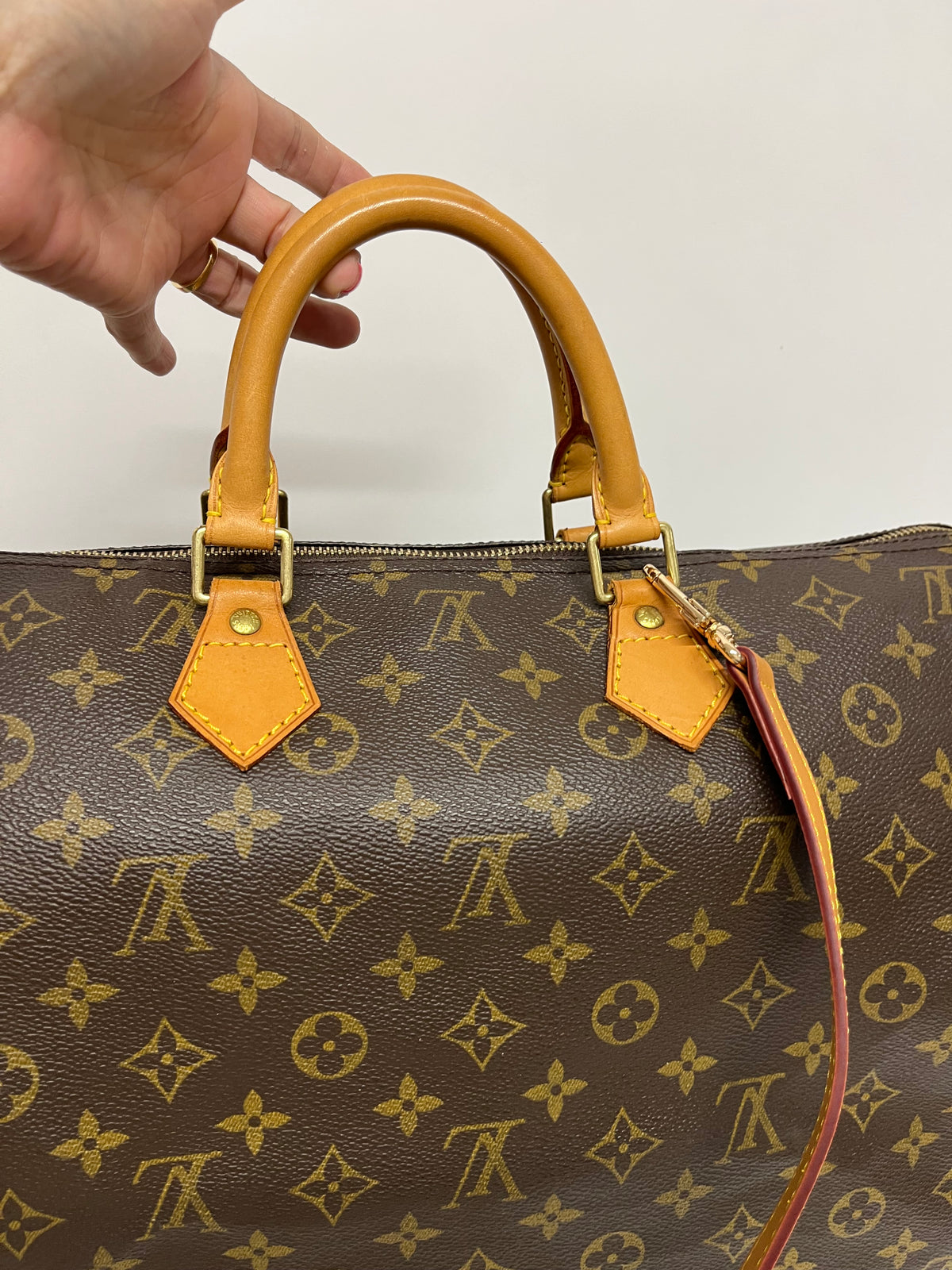 Louis Vuitton Speedy 40 Lona Monogram