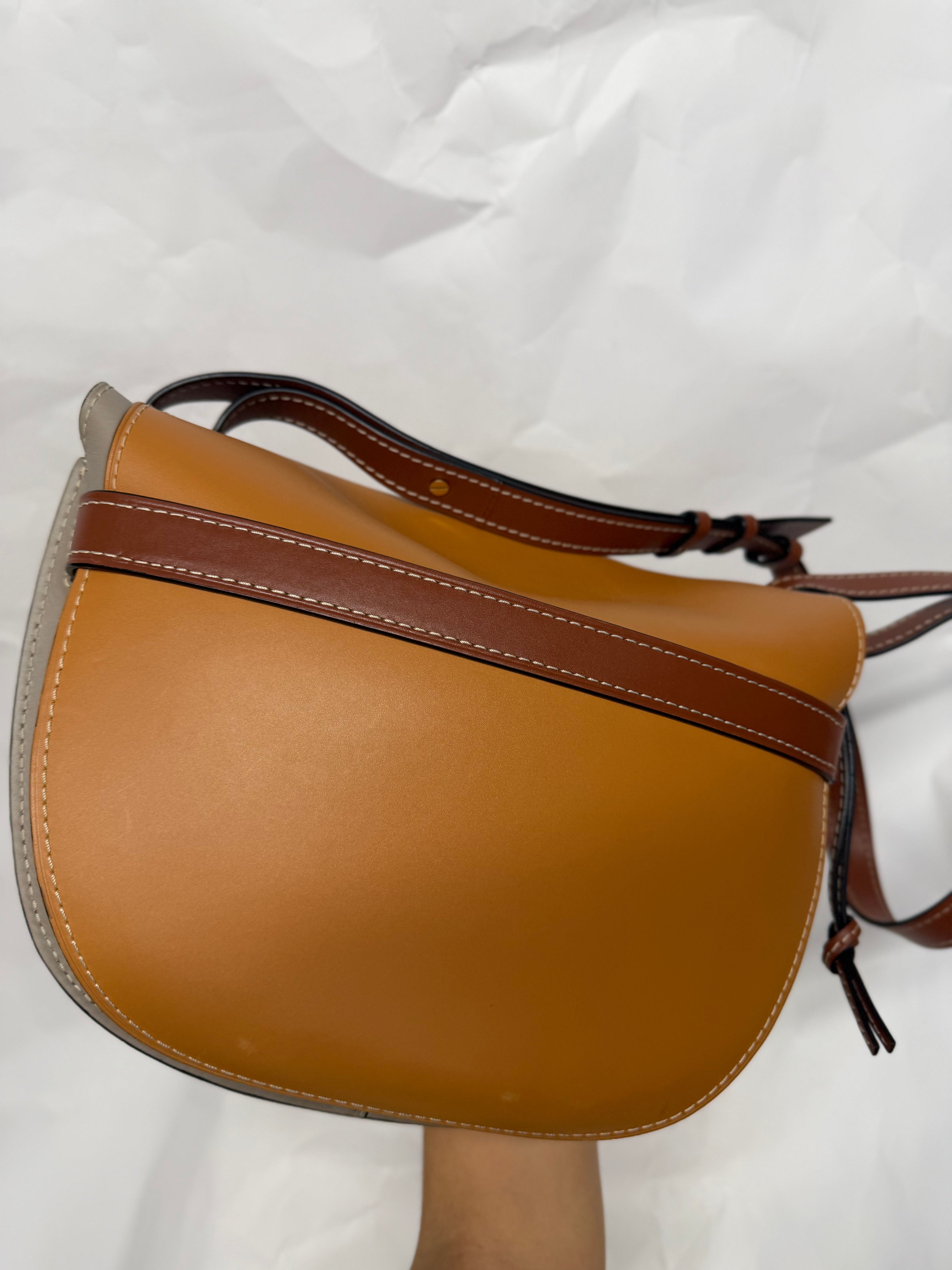 Loewe gate tricolor grande bandolera