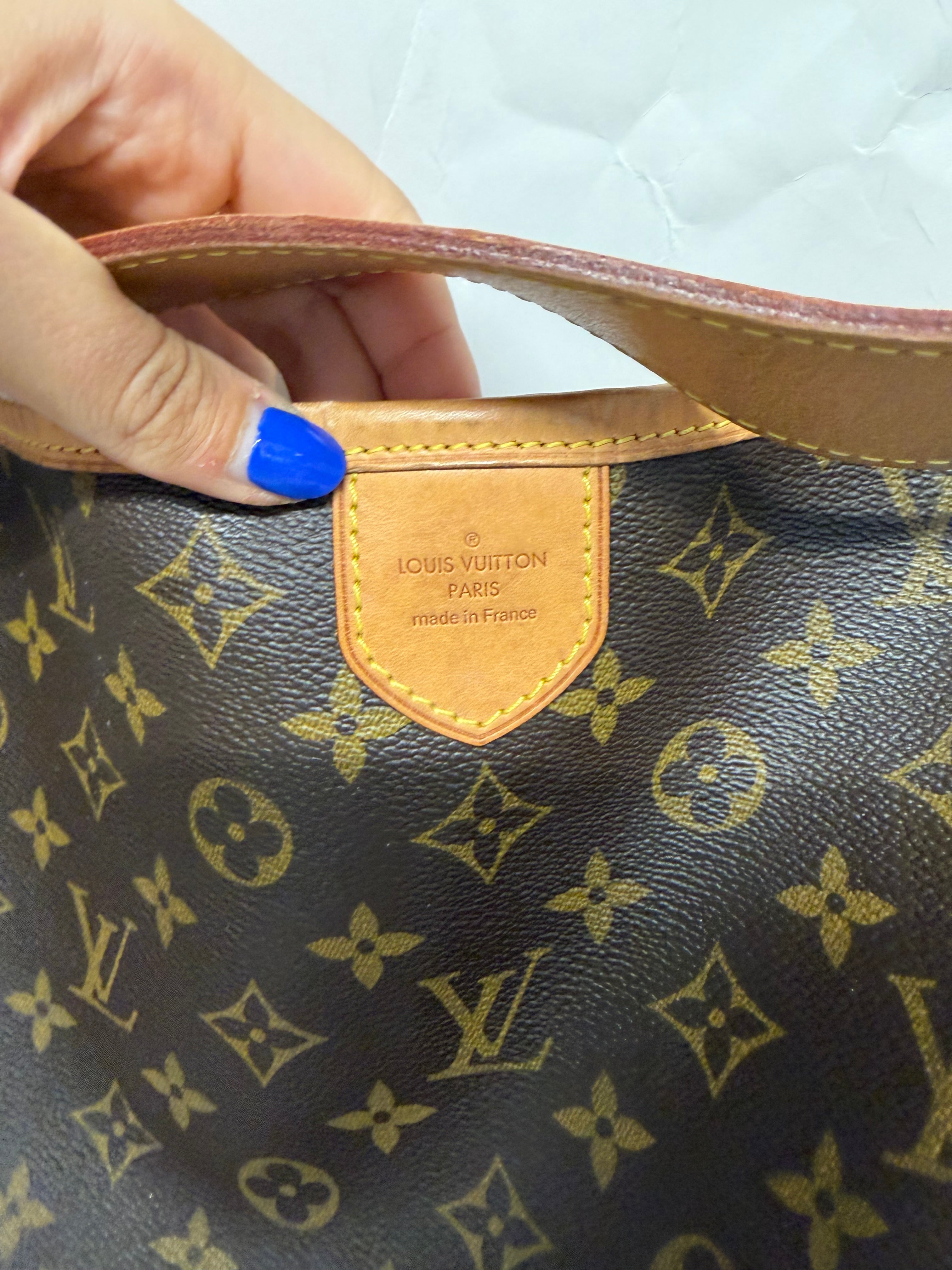 Louis Vuitton Delightful GM | Monogram