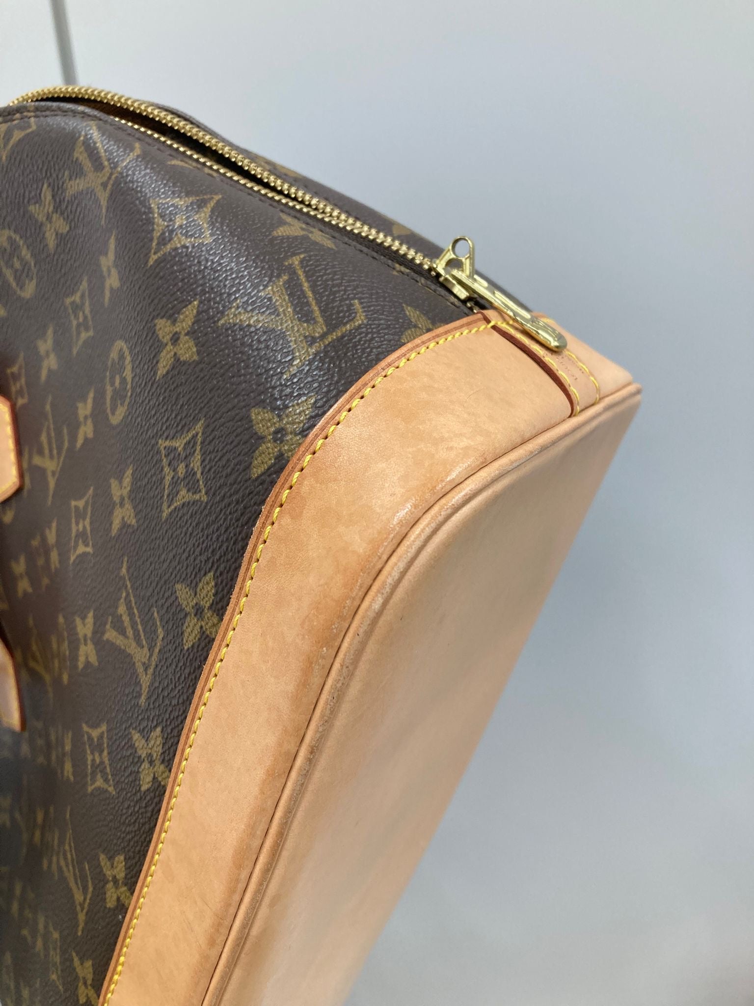 Louis Vuitton Alma PM Monogram
