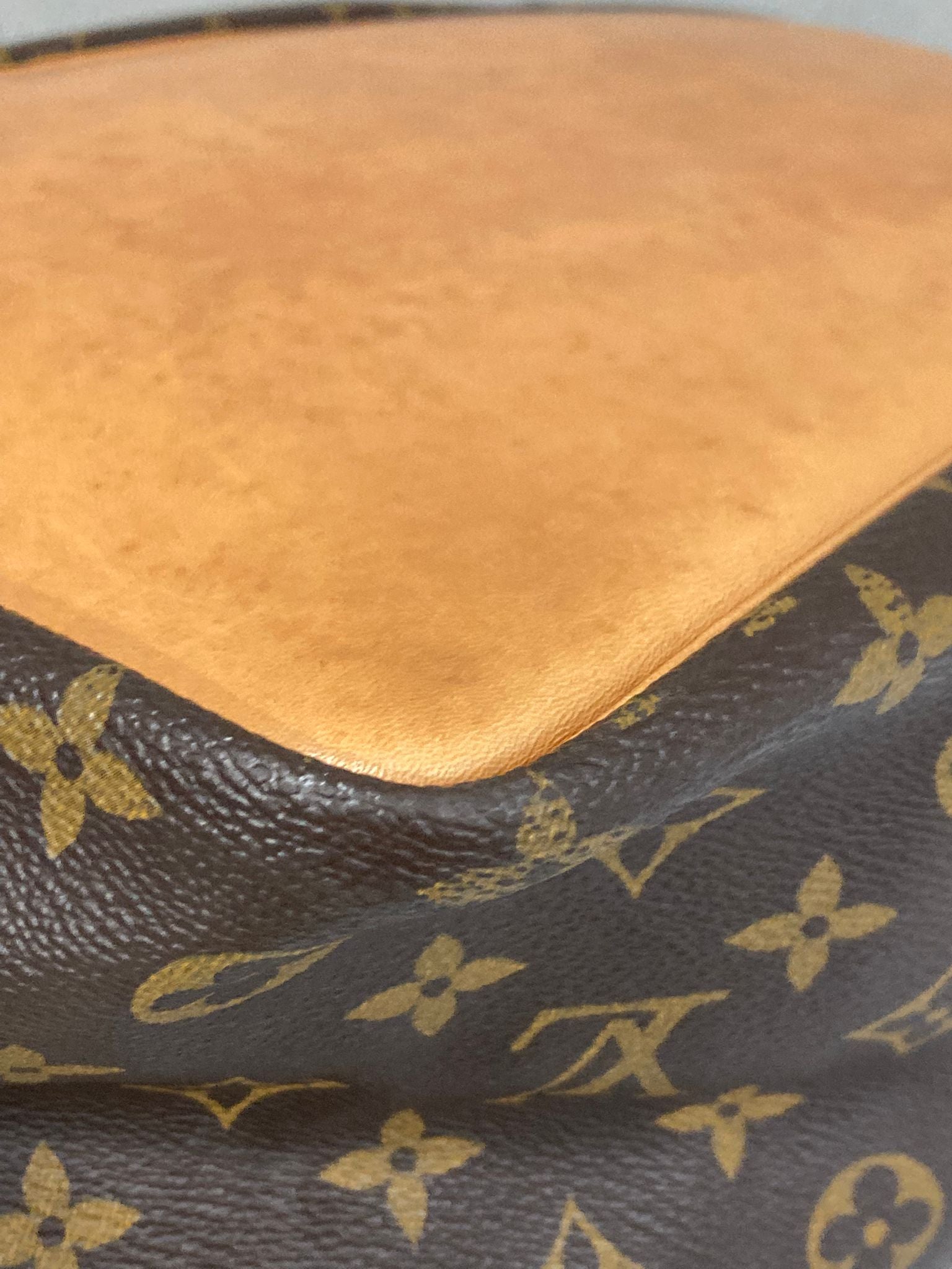 Louis Vuitton Petit Noé canvas monogram