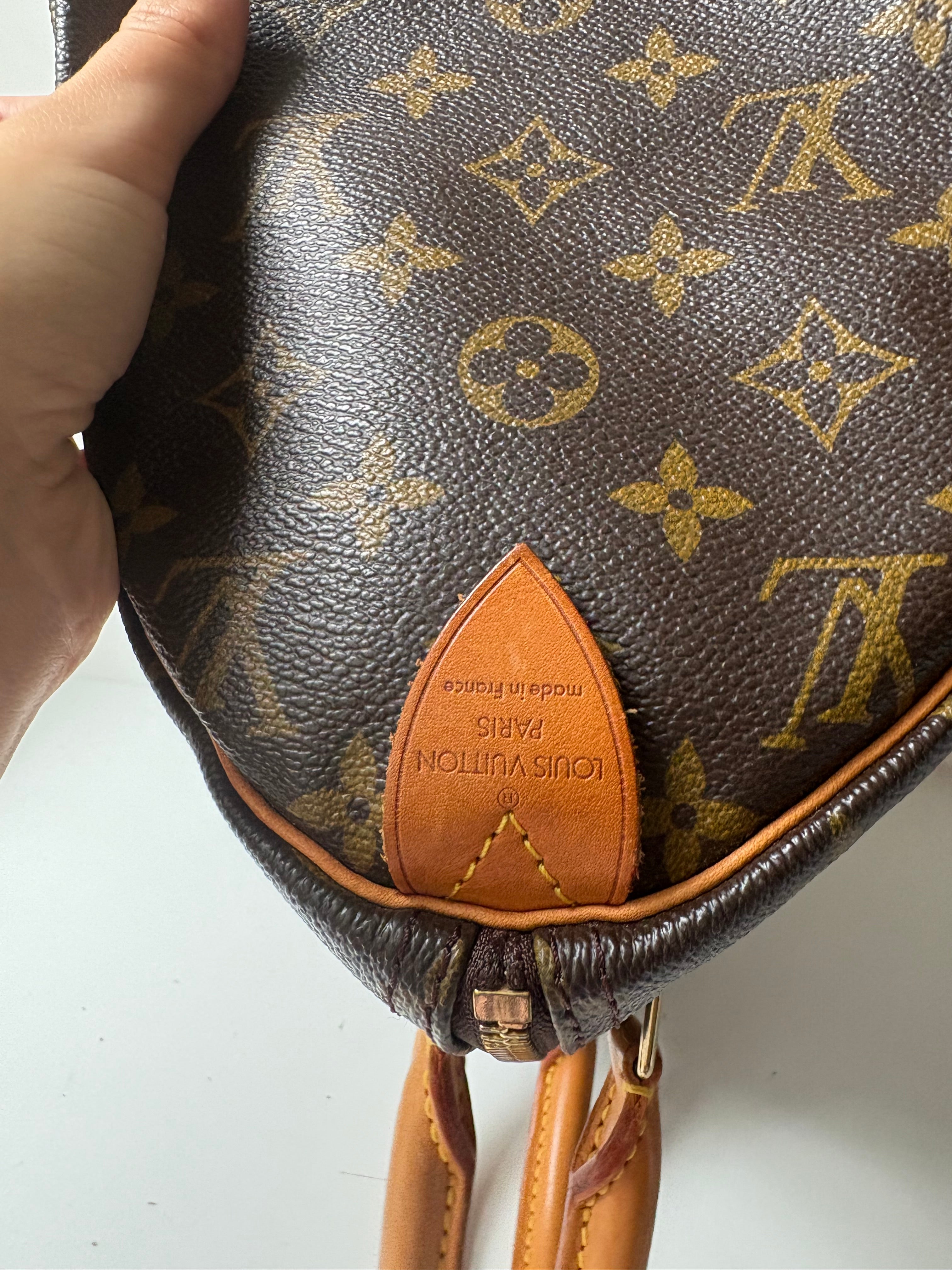 Louis Vuitton Speedy 30 canvas monogram