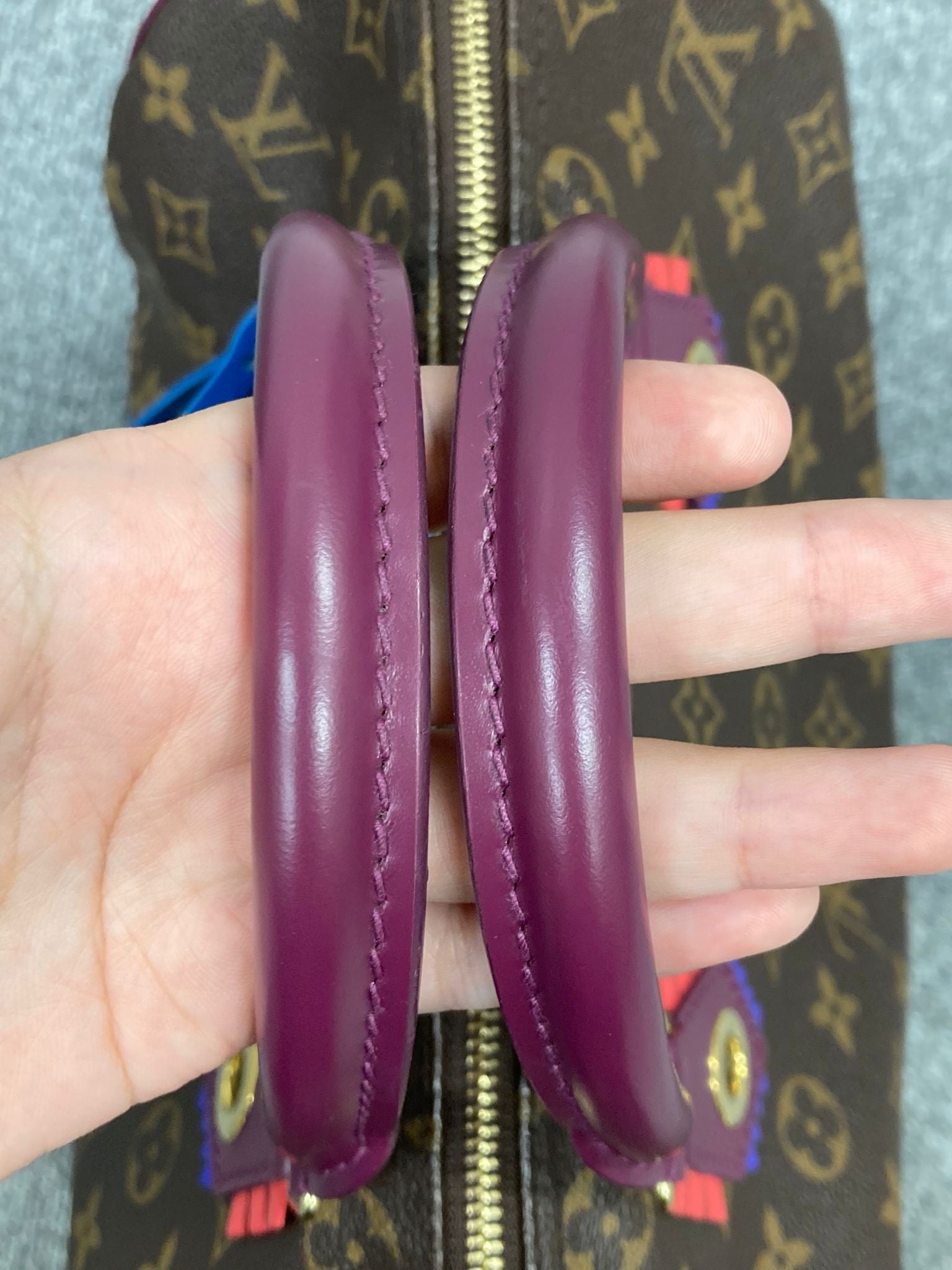 Louis Vuitton Speedy 30 Totem Monogram