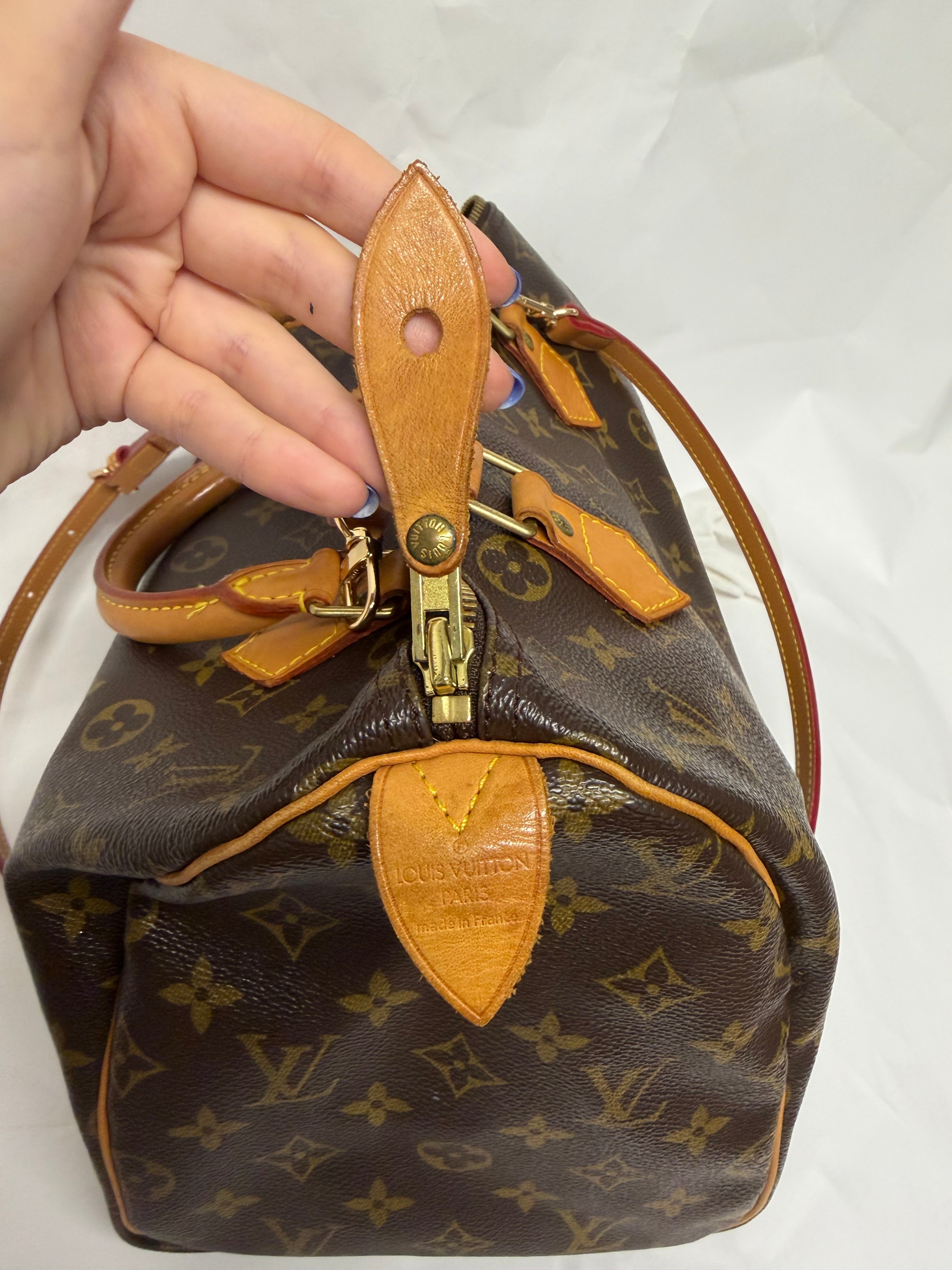 Louis Vuitton Speedy 30 Monogram