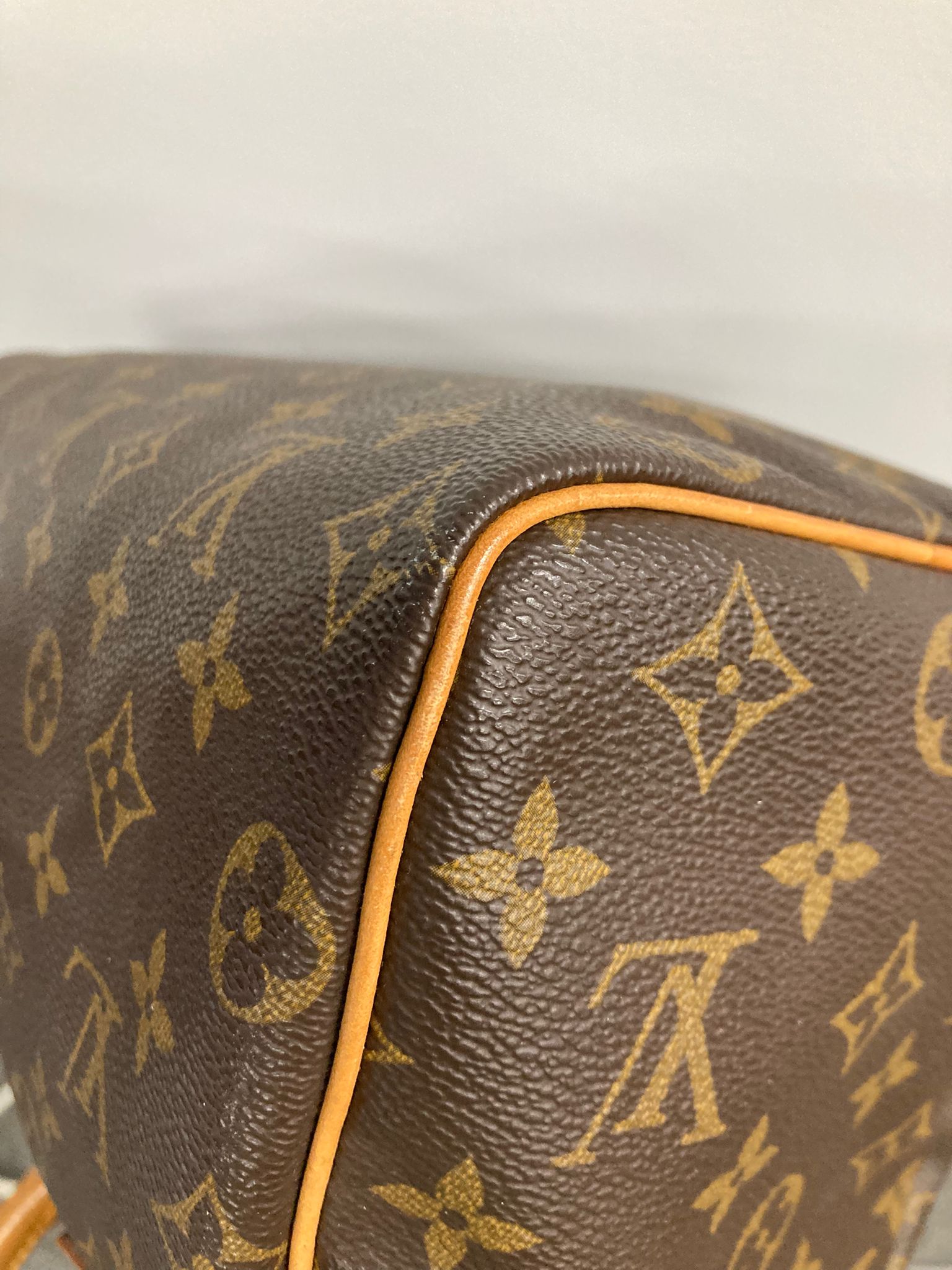 Louis Vuitton speedy 25 canvas monogram