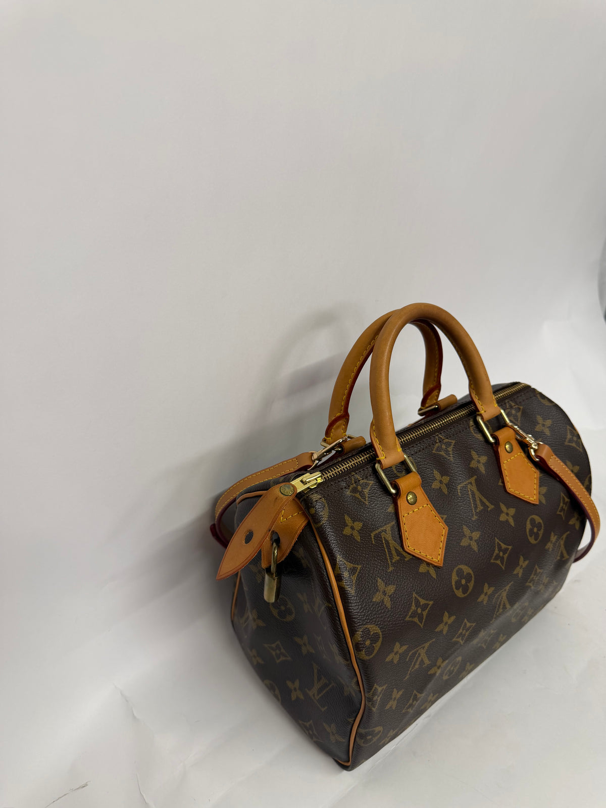 Louis Vuitton Speedy 25 Monogram