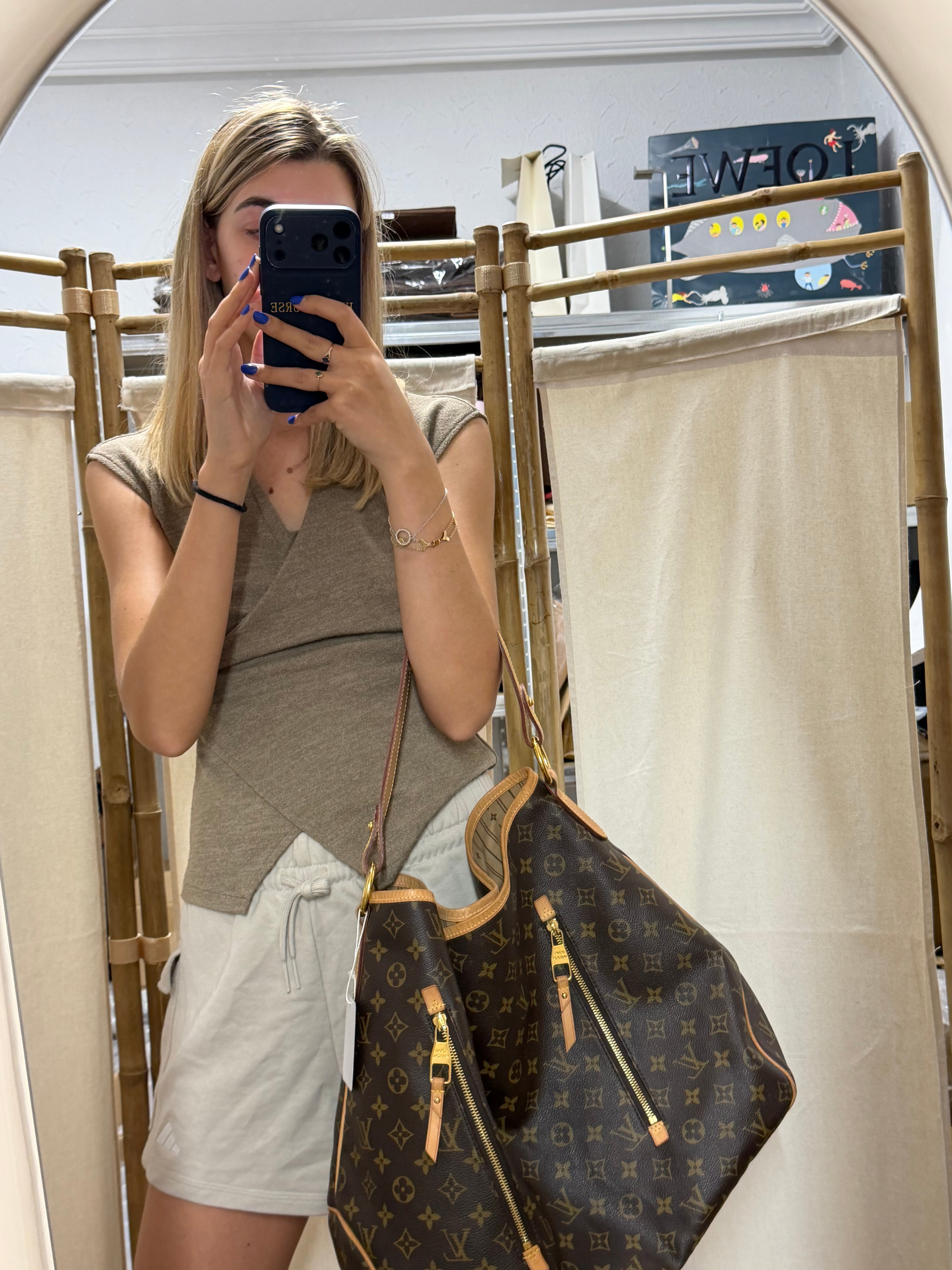 Louis Vuitton Delightful GM | Monogram