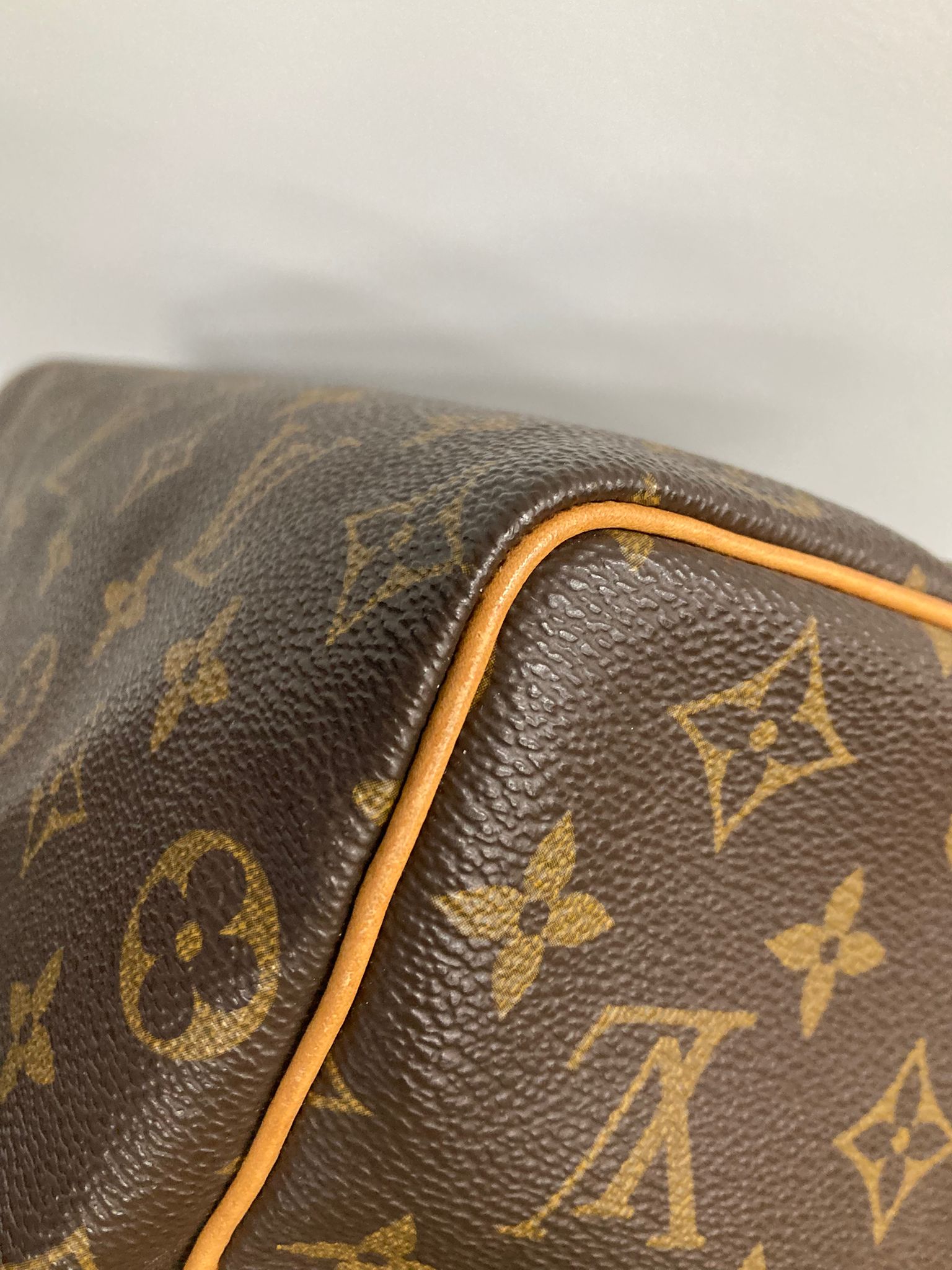 Louis Vuitton speedy 25 canvas monogram