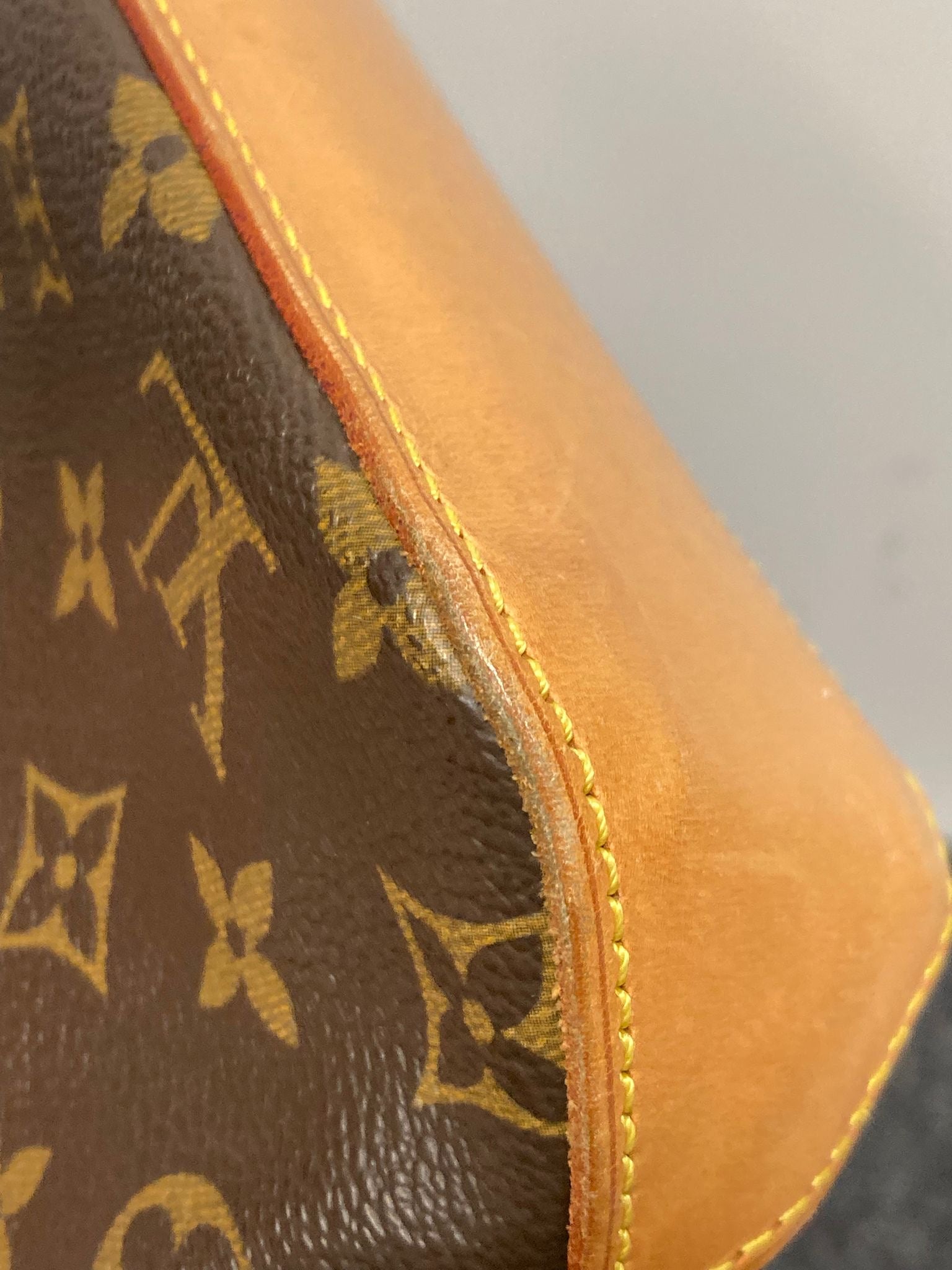 Trotter Monogram Canvas Bandolera