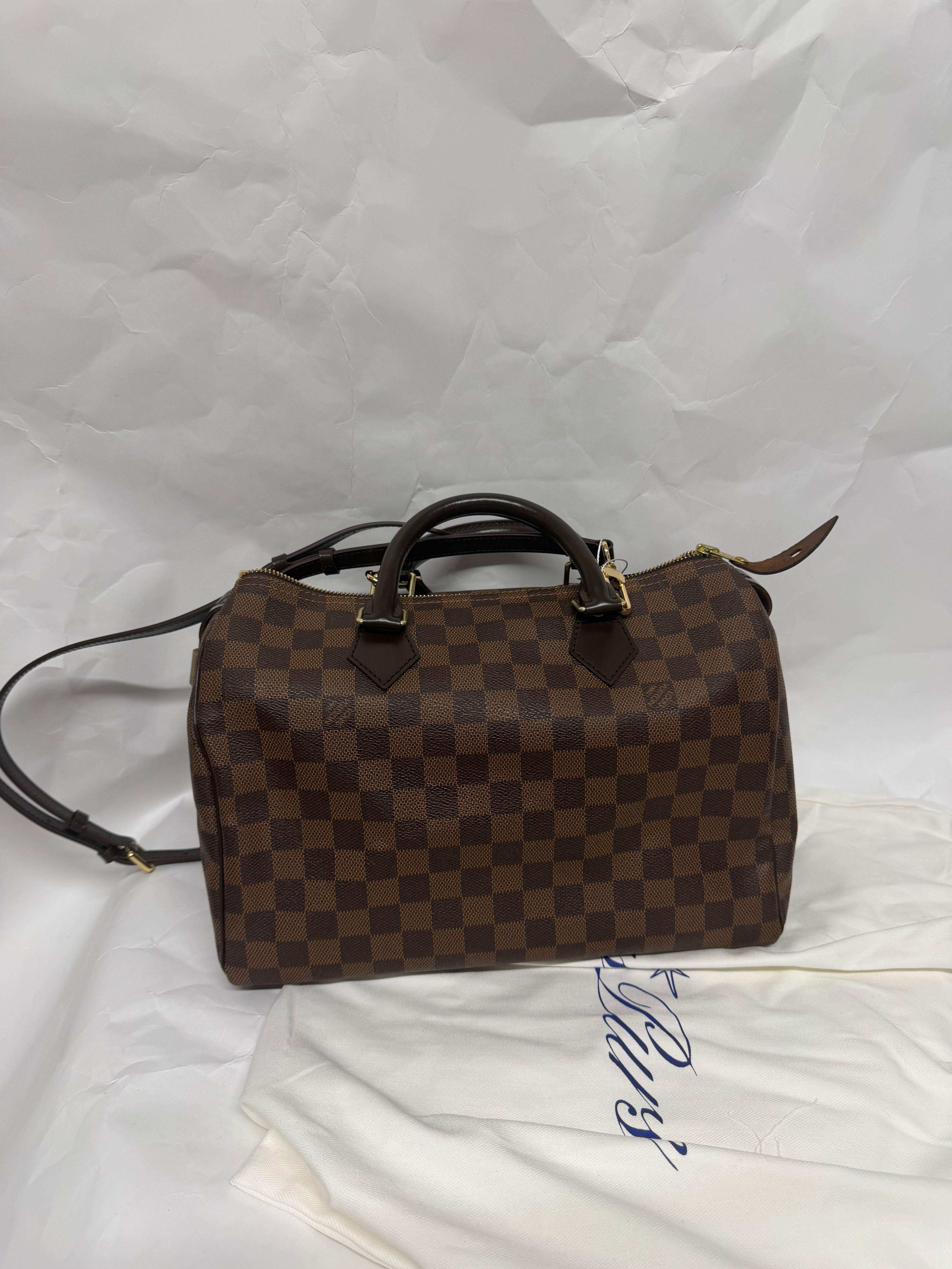 Louis Vuitton Speedy 30 Damier Ebene