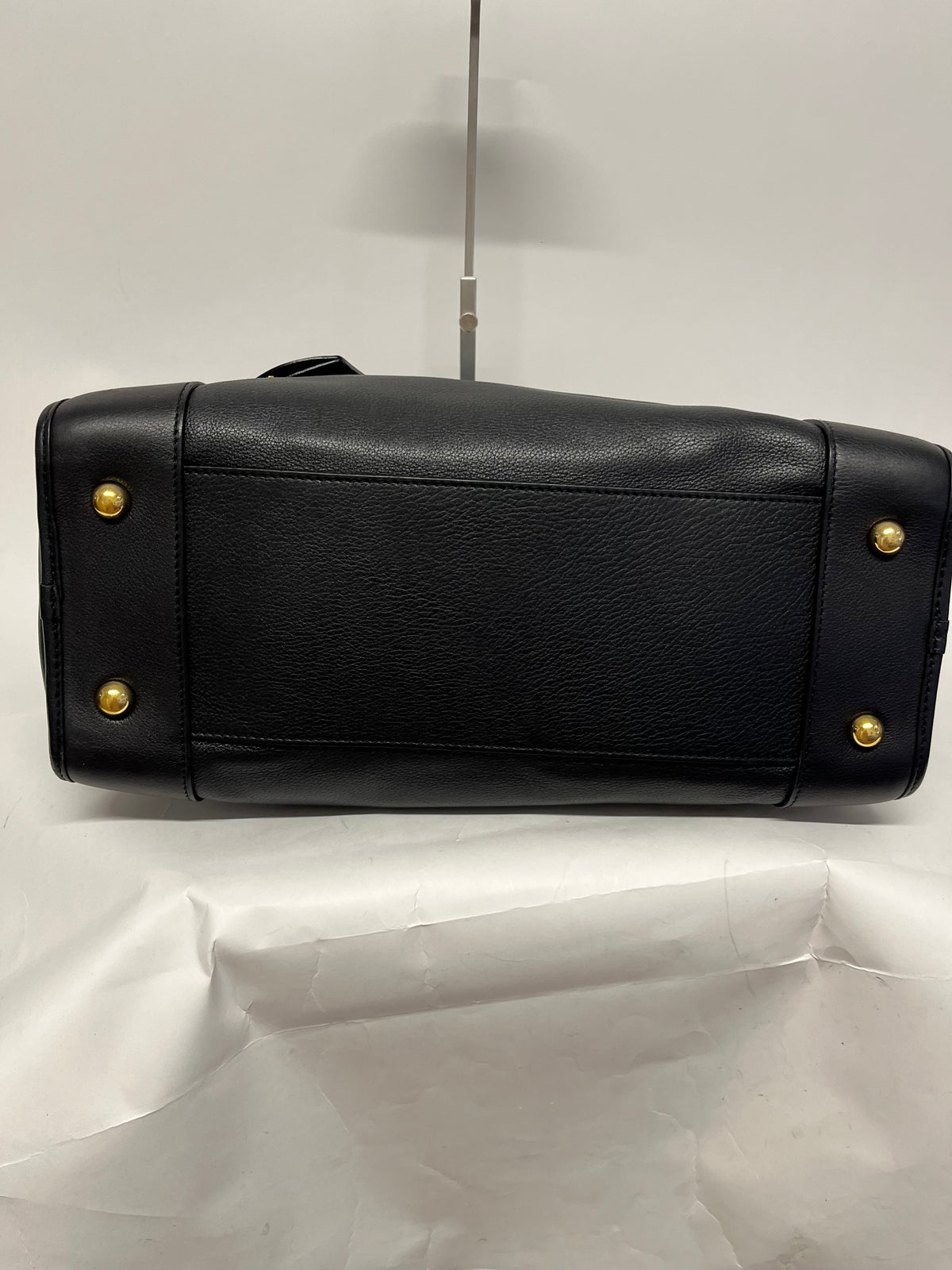 Loewe Amazona Negra Herrajes Dorados