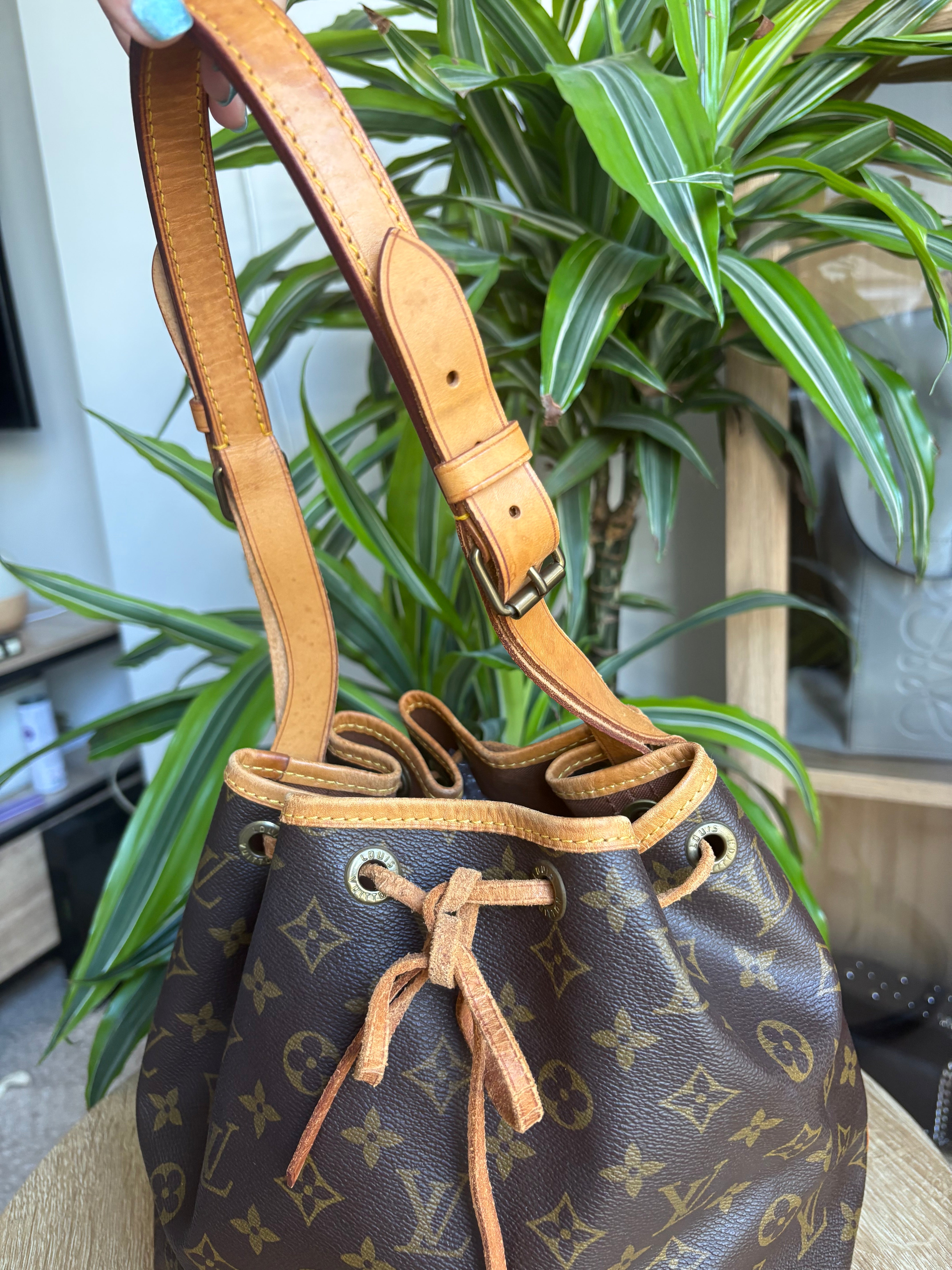 LV Noe petit monogram canvas