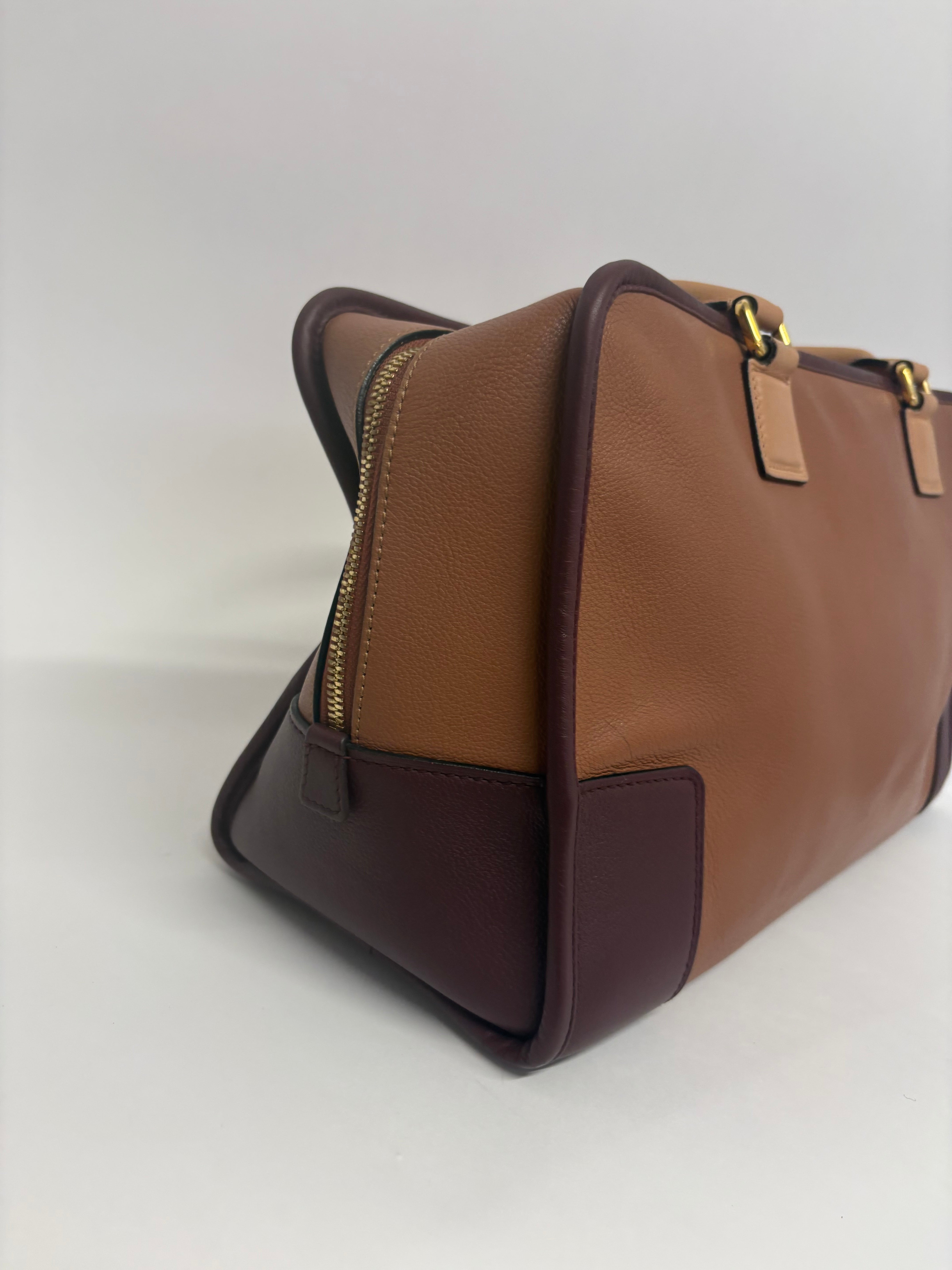 Loewe Amazona 35  Tricolor Marrón, Burdeos y Beige