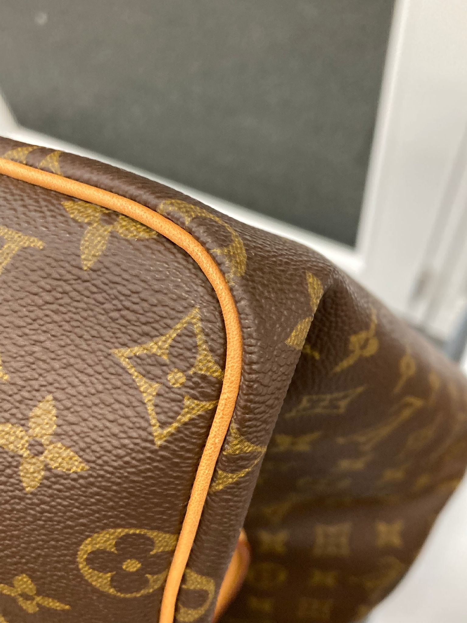 Louis Vuitton speedy 30
