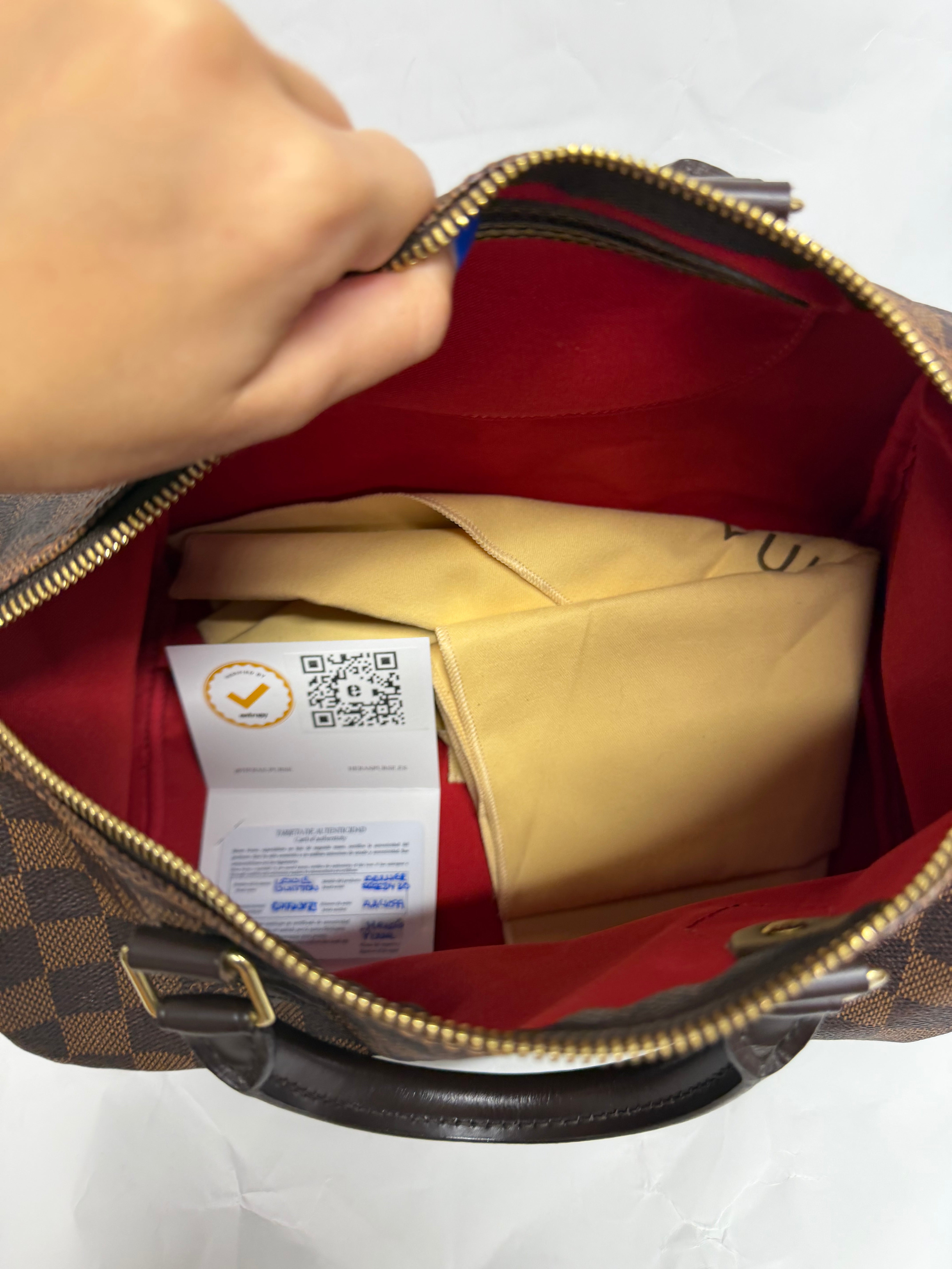 Louis Vuitton Speedy 30 Damier Ebene