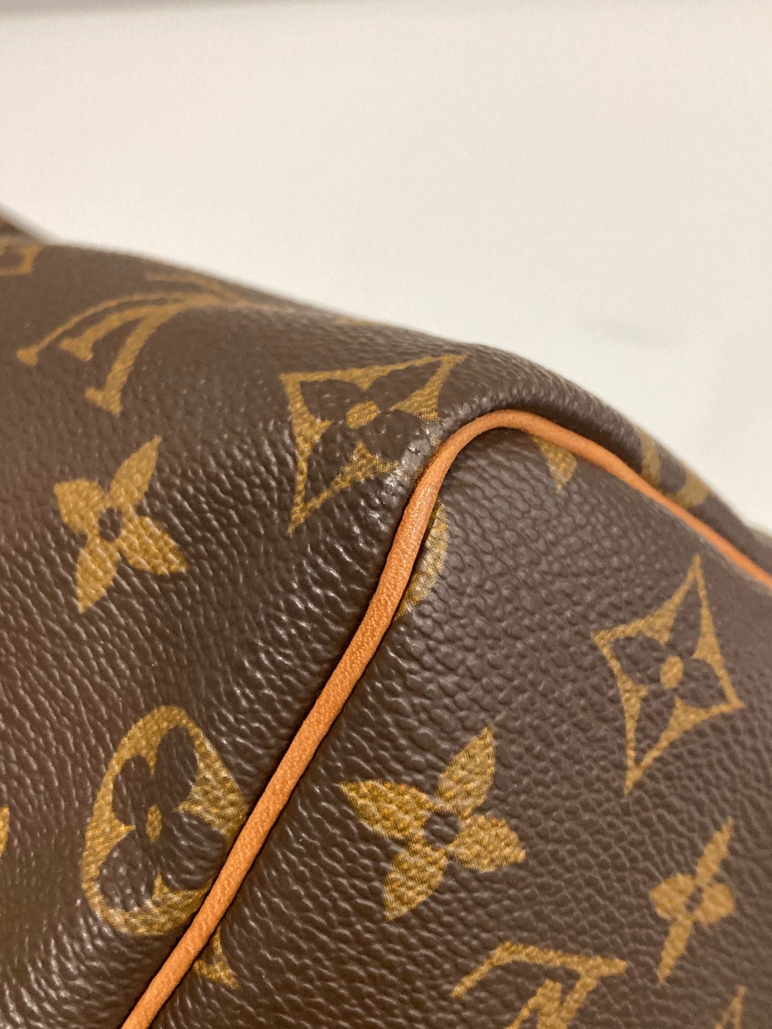 Louis Vuitton speedy 25 monogram canvas