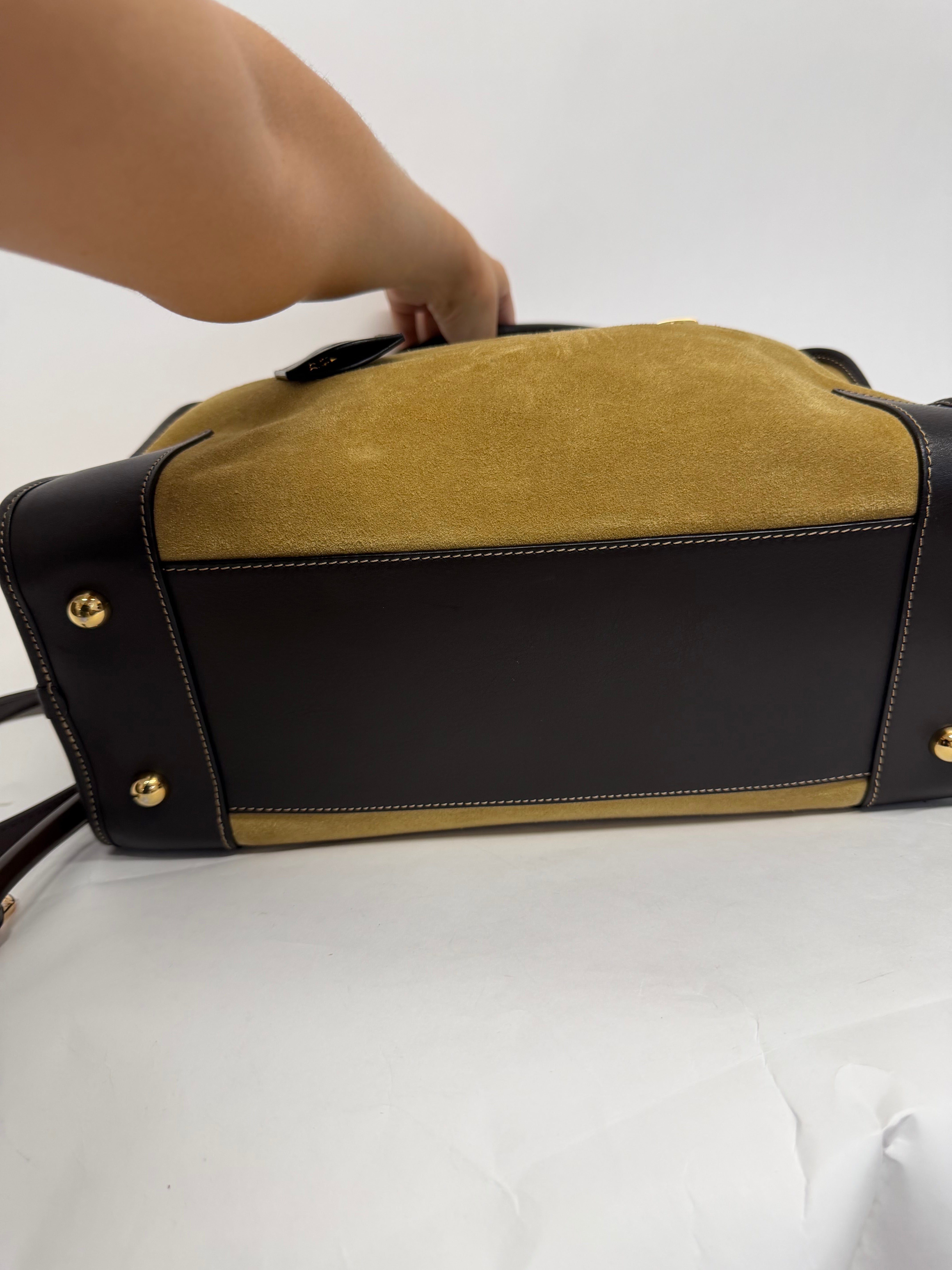 Loewe Amazona 36 Ante Oro — Modelo Nuevo