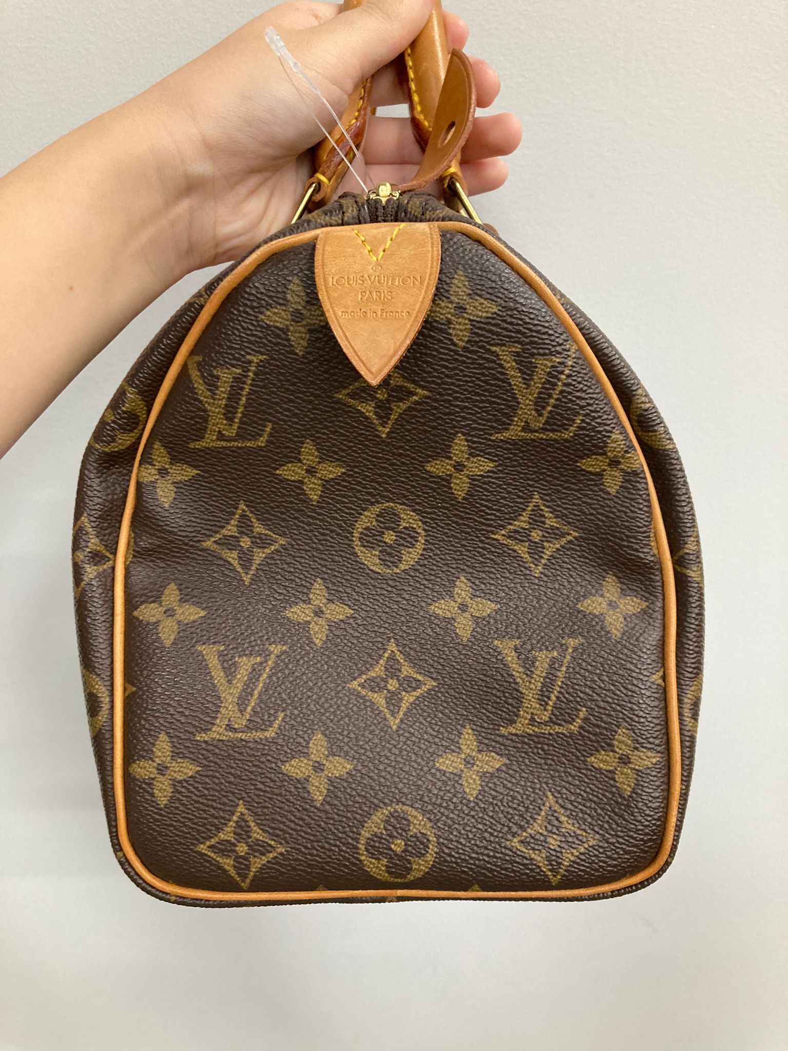Louis Vuitton speedy 25 canvas monogram