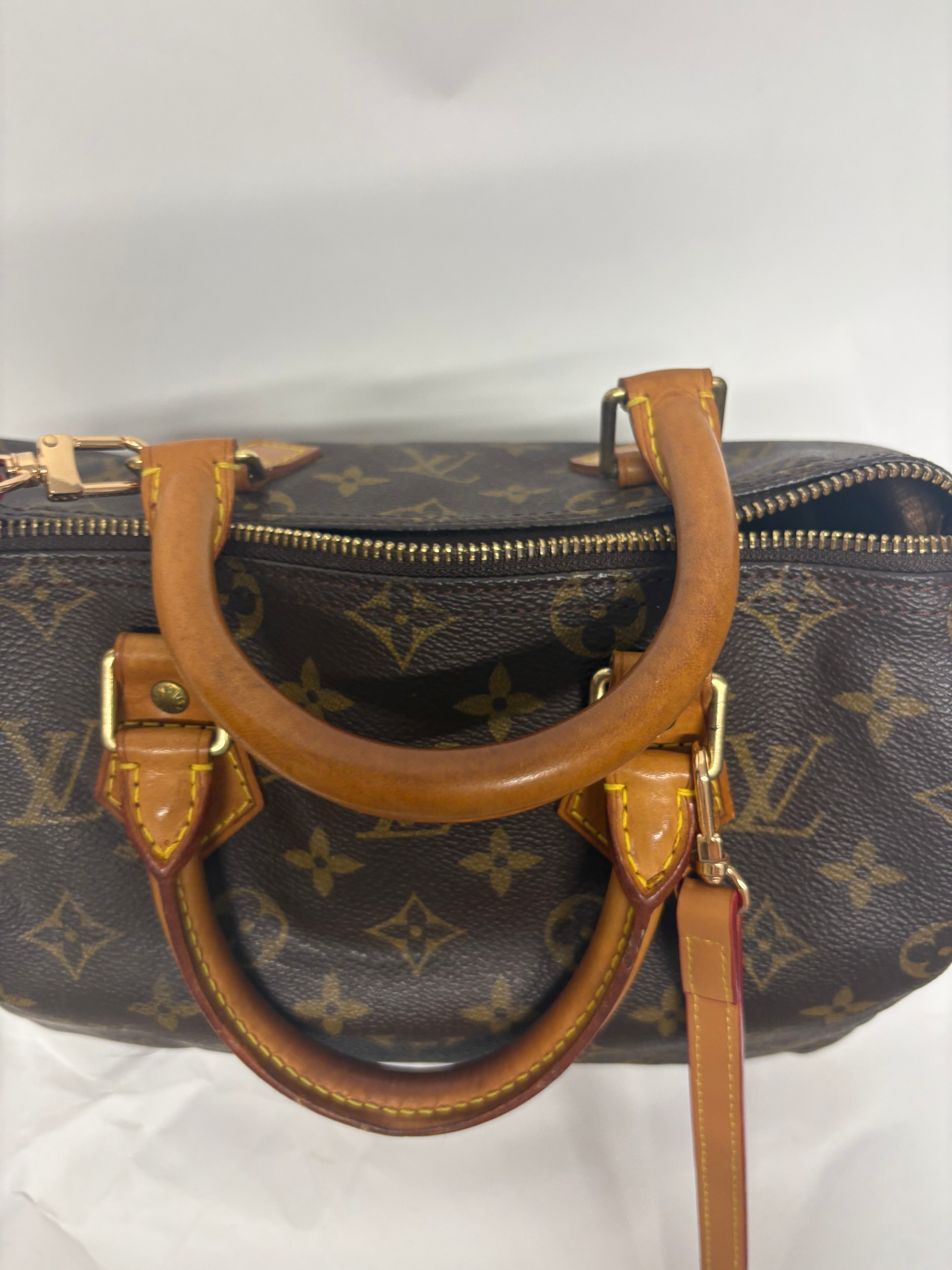 Louis Vuitton Speedy 25 Monogram
