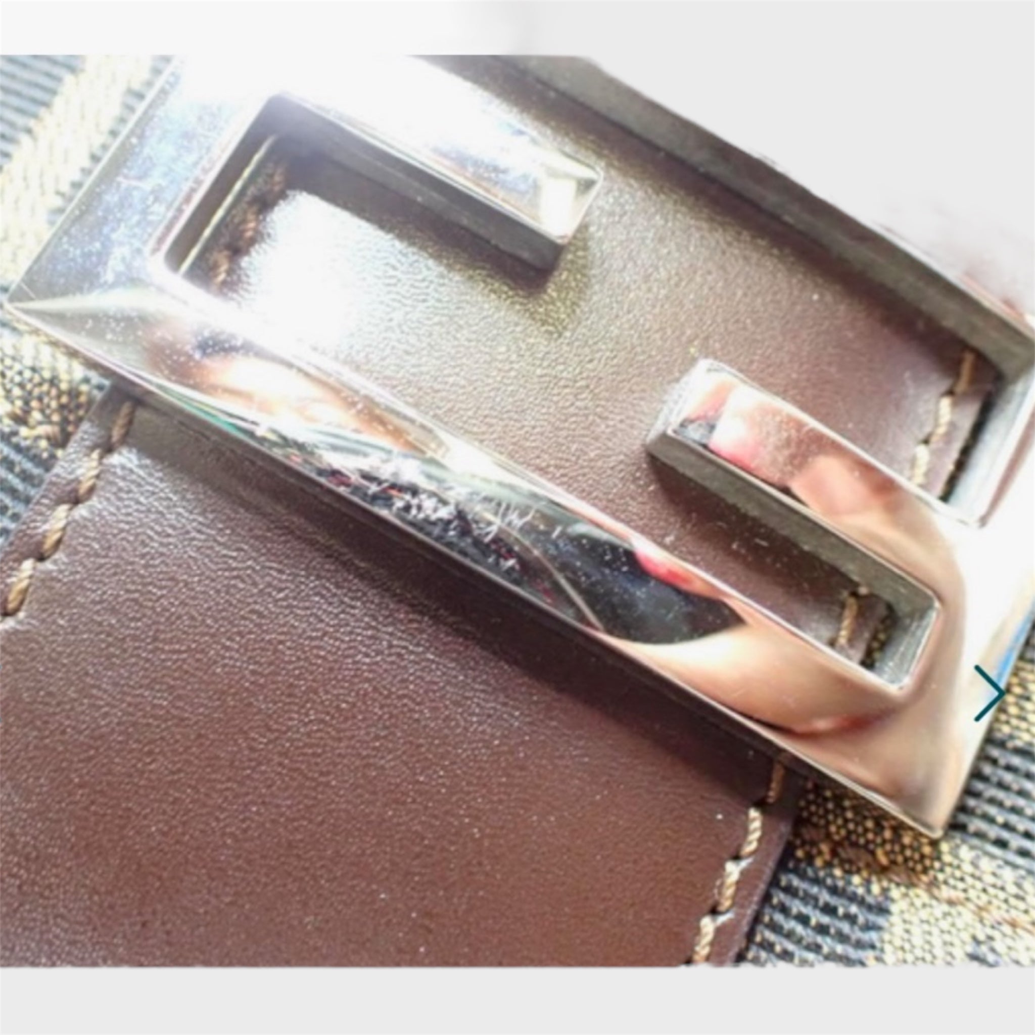 Fendi Zucca Bag