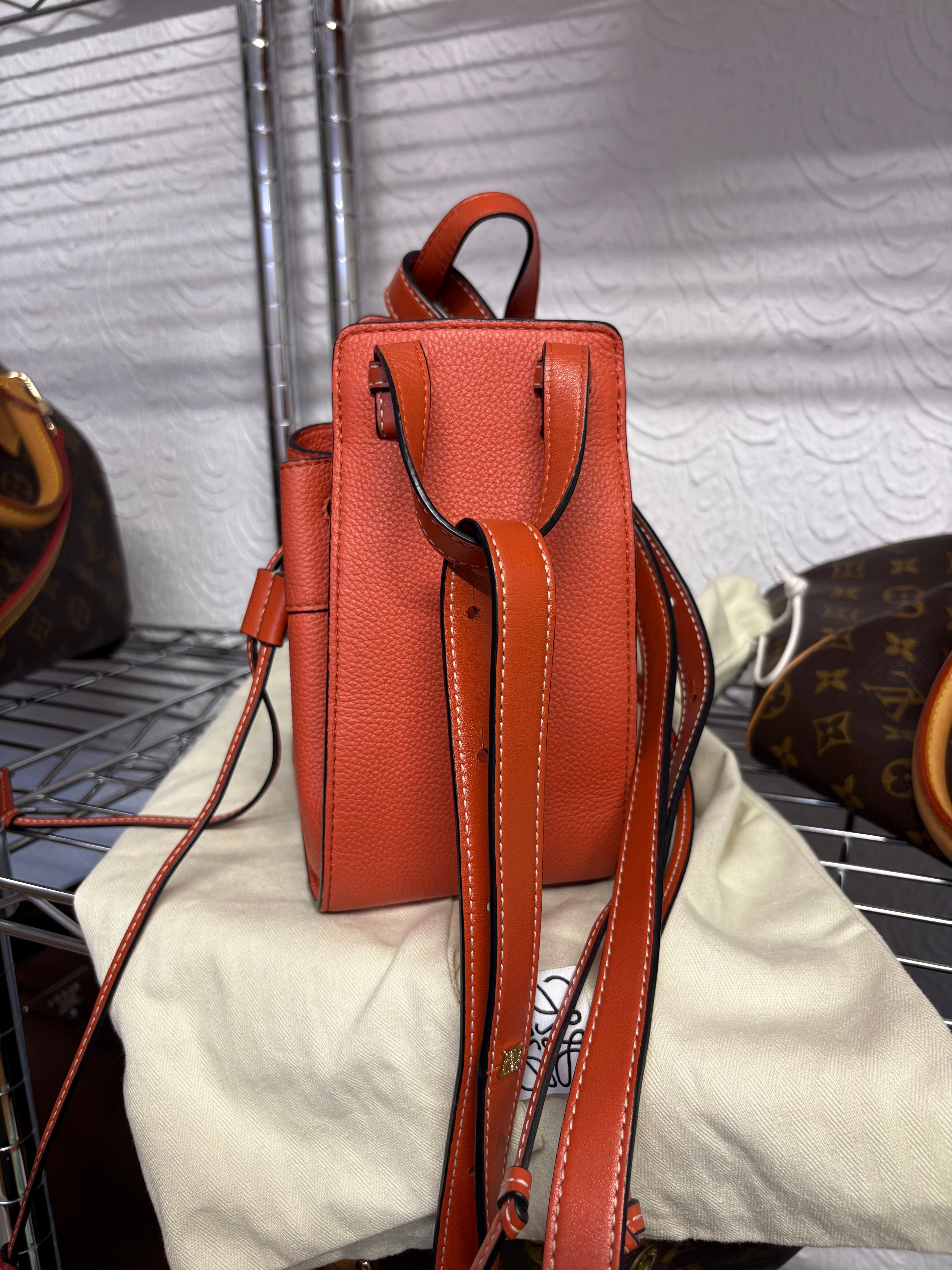Loewe mini hammock coral