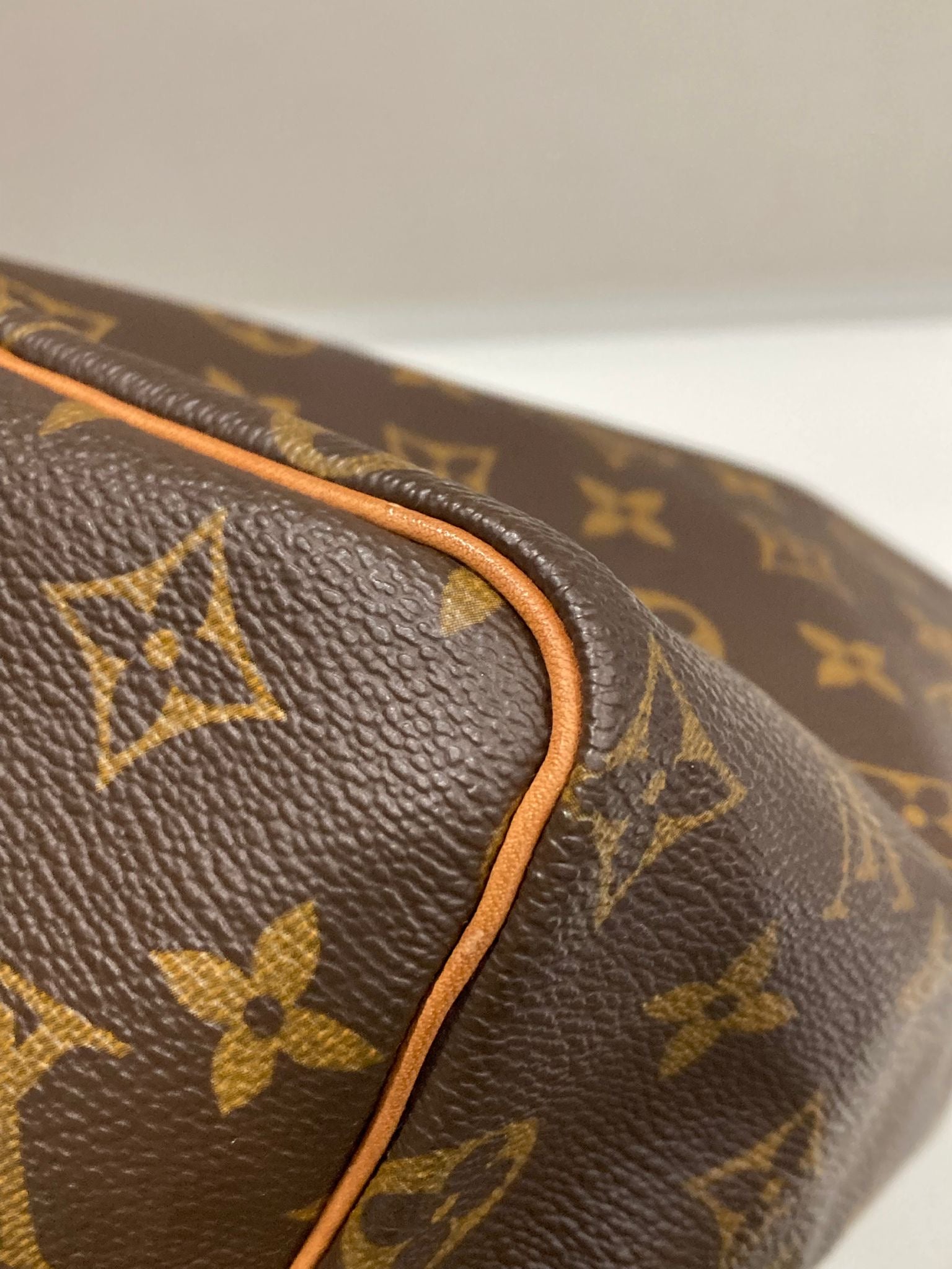 Louis Vuitton speedy 25 monogram canvas