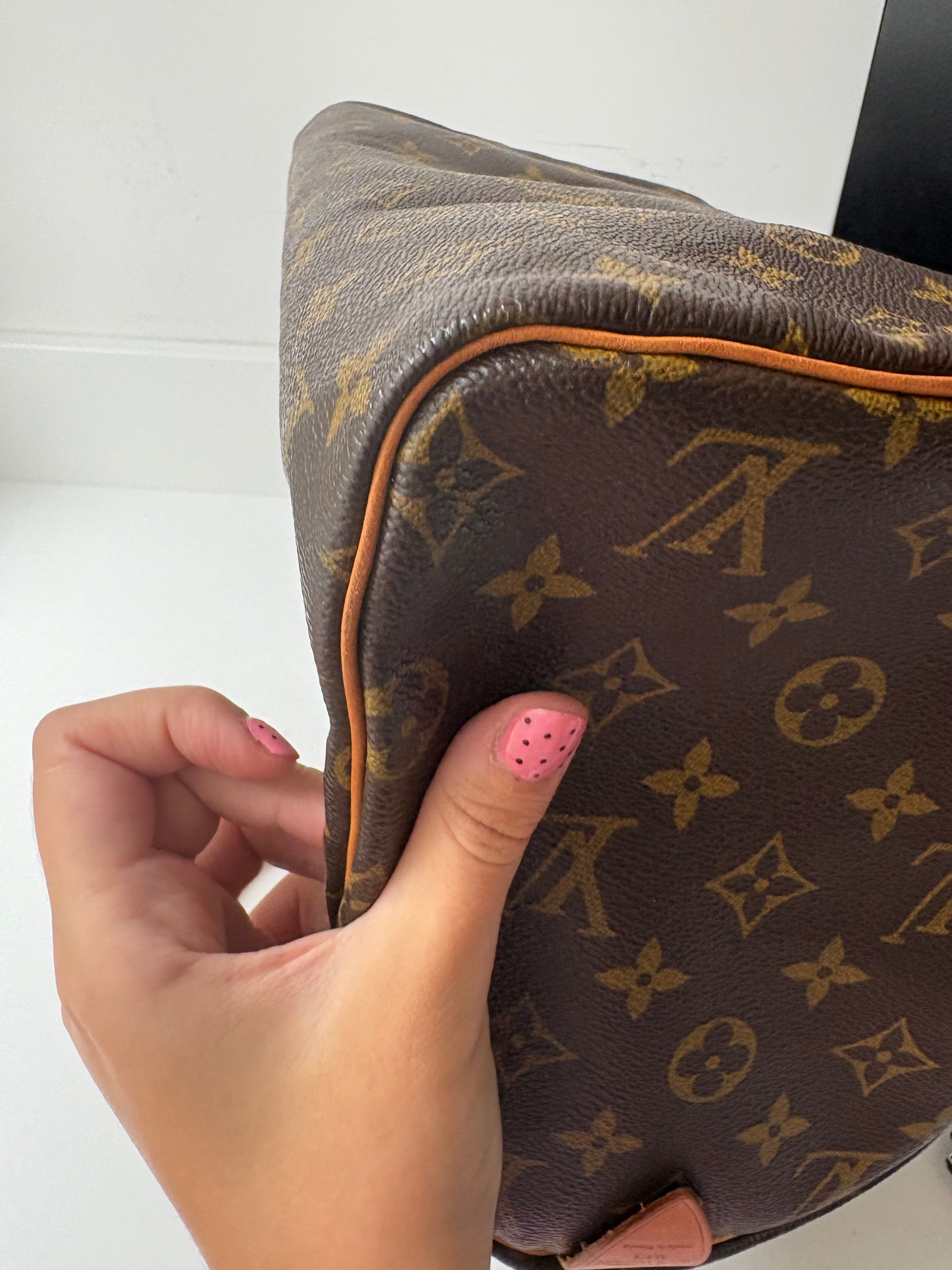 Louis Vuitton Speedy 30 canvas monogram