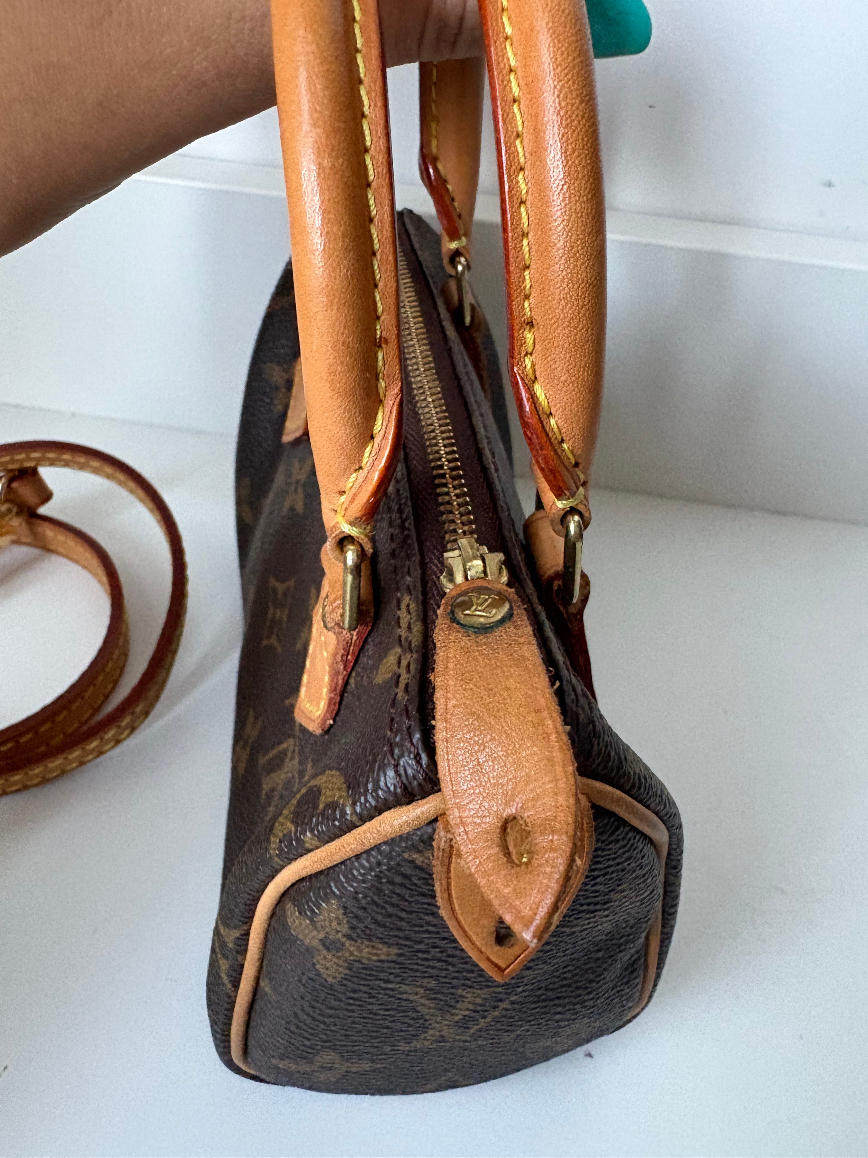 Louis Vuitton Nano Speedy Canvas monogram con correa