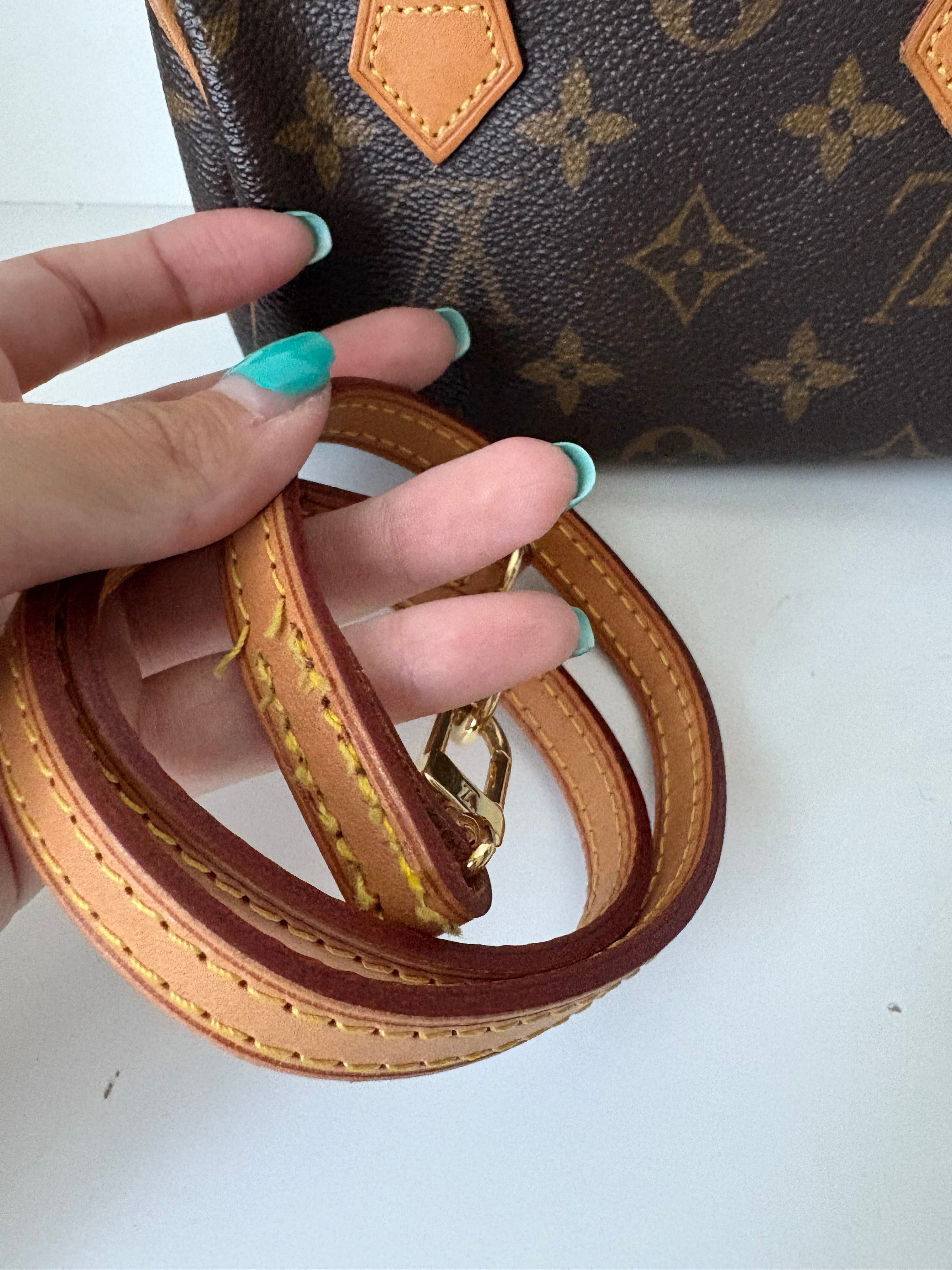 Louis Vuitton Nano Speedy Canvas monogram con correa