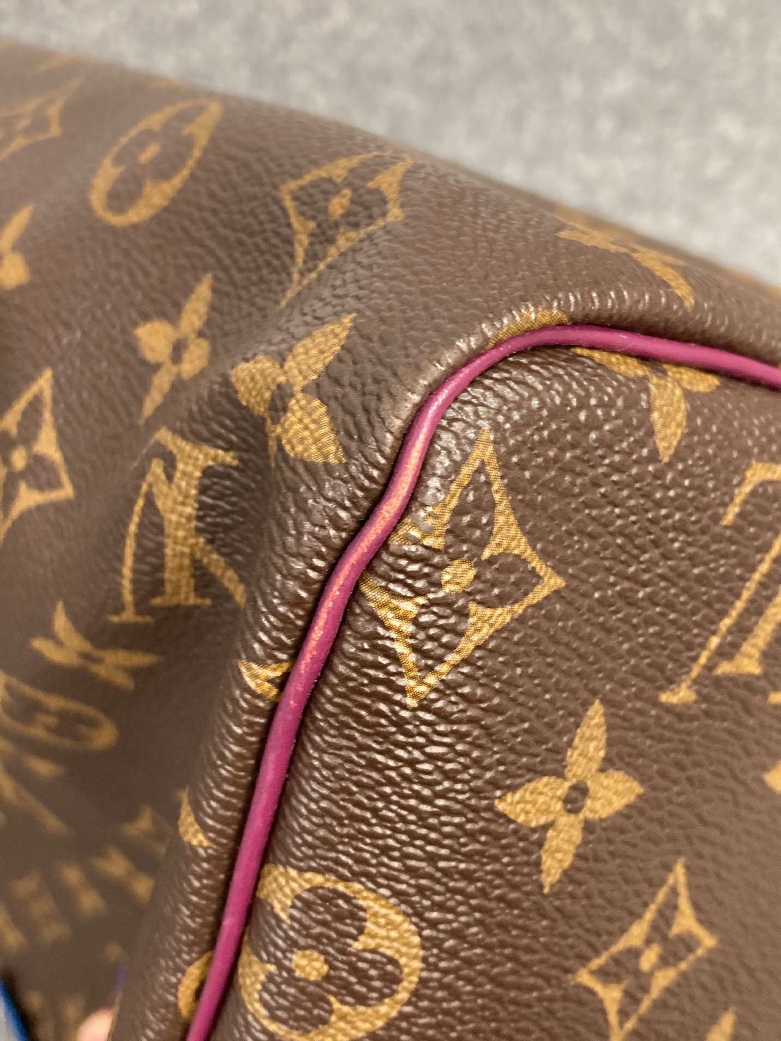 Louis Vuitton Speedy 30 Totem Monogram