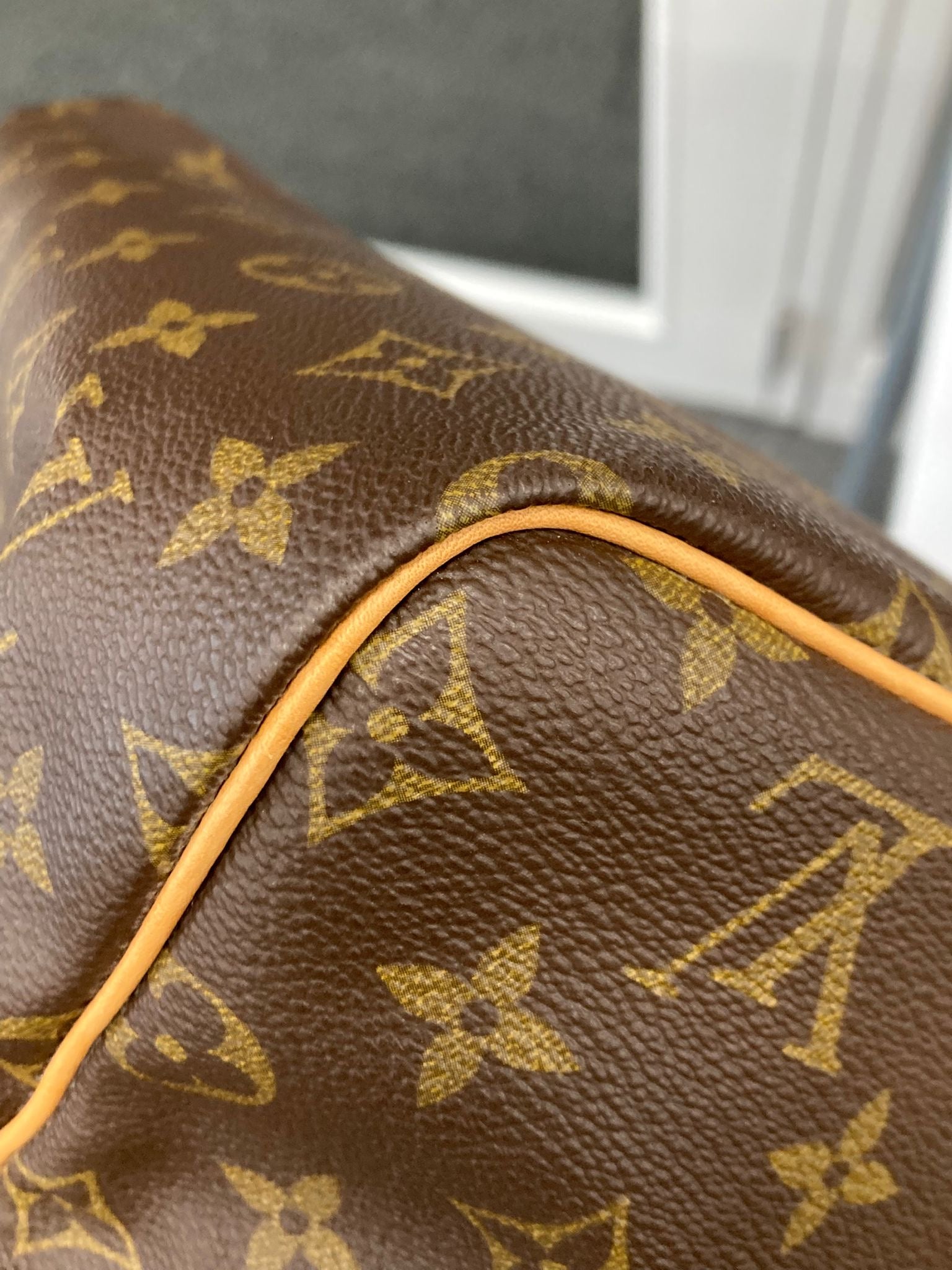Louis Vuitton speedy 30