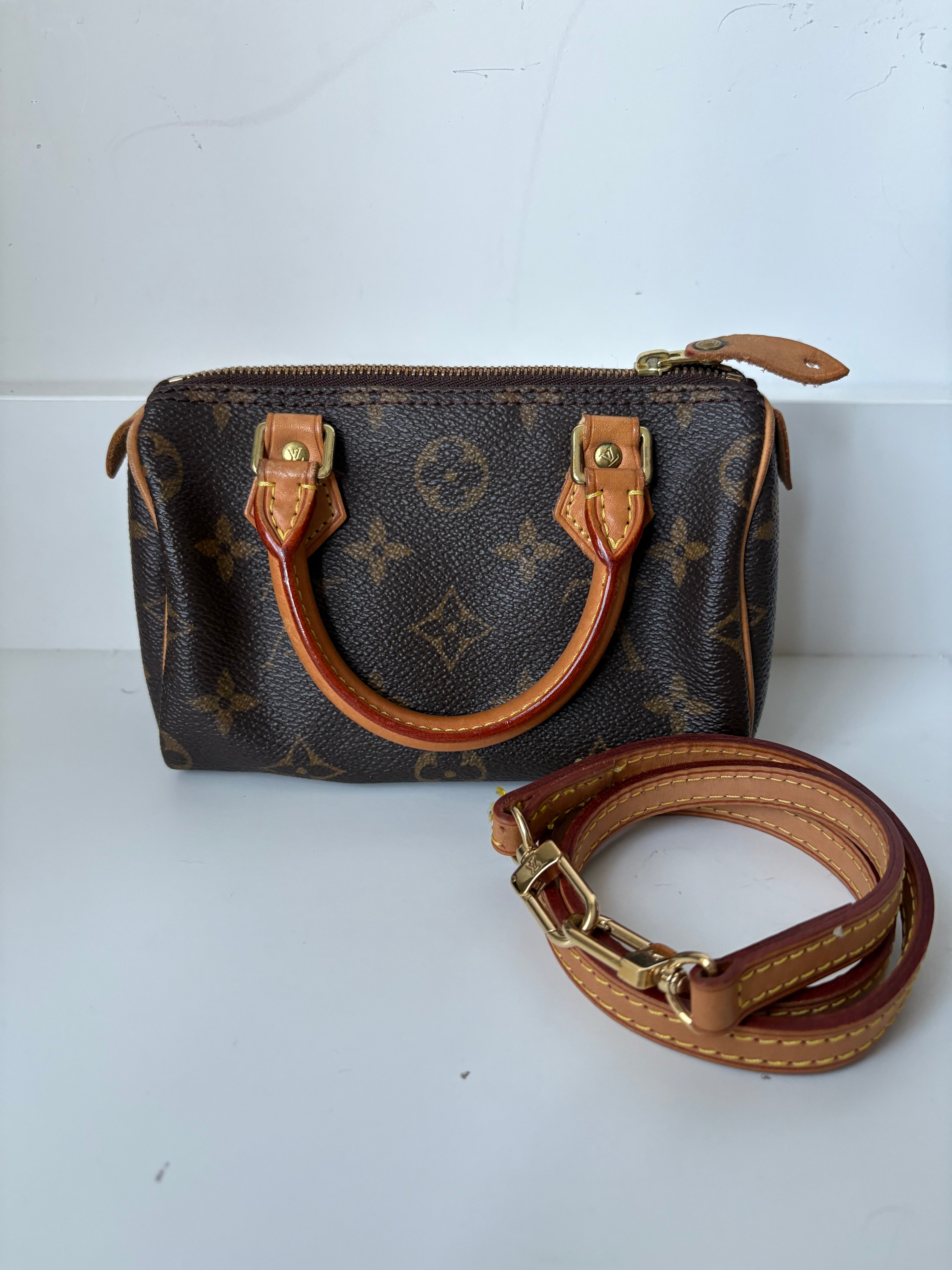 Louis Vuitton Nano Speedy Canvas monogram con correa