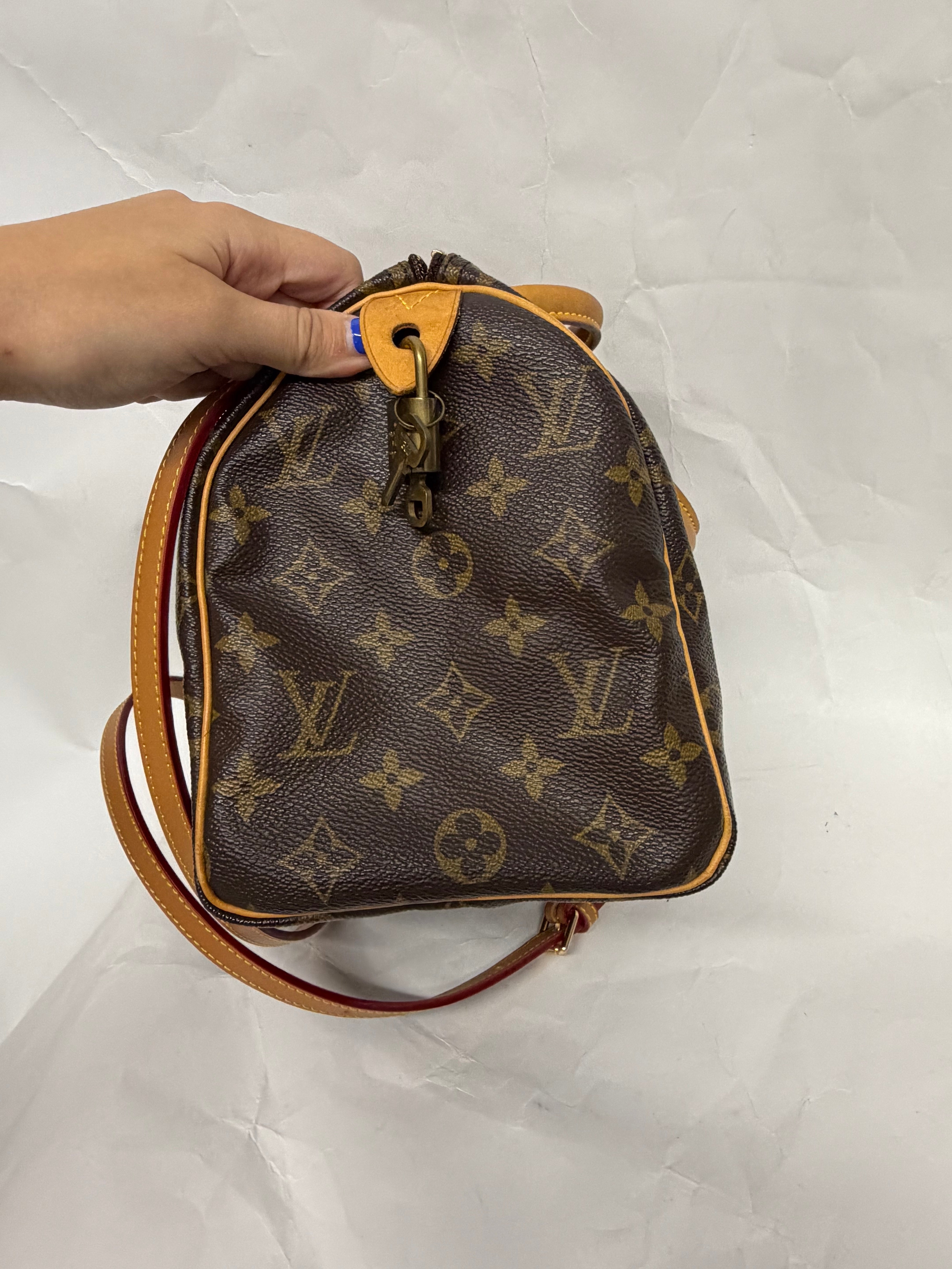 Louis Vuitton Speedy 25 | Monogram
