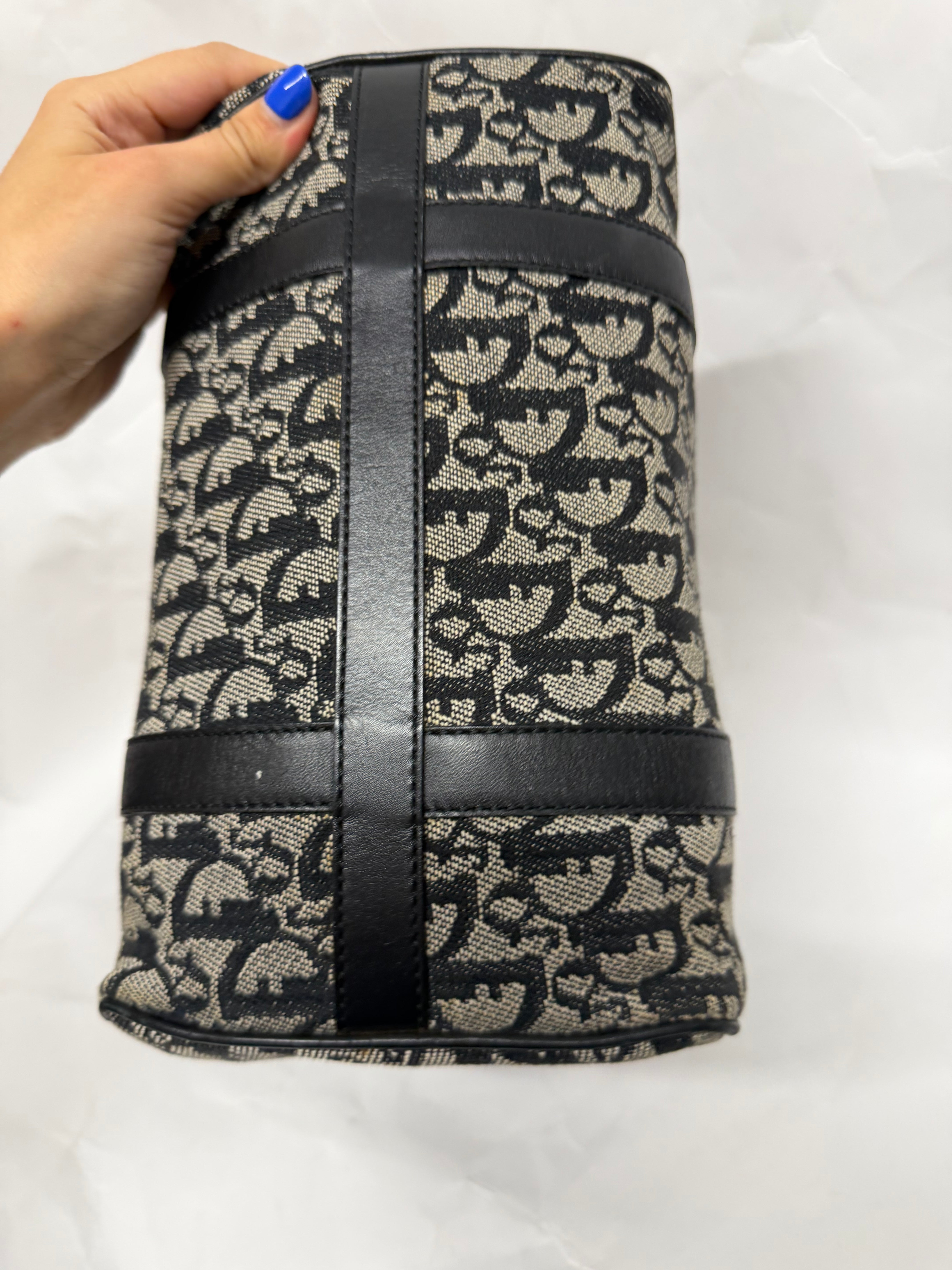 Dior Trotter Boston 25 Canvas Negro
